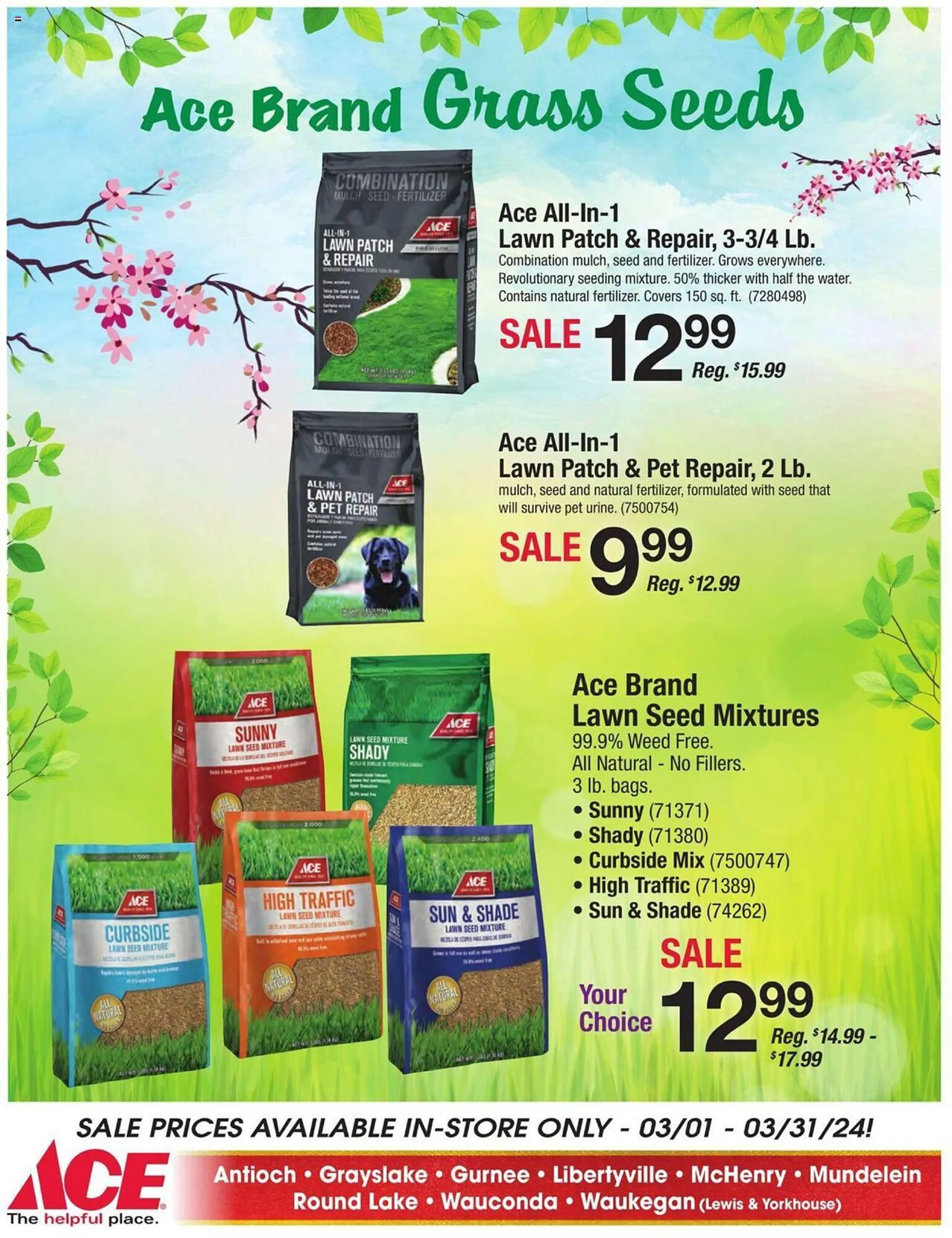 Weekly ad Ace Hardware Weekly Ad from March 1 to March 31 2024 - Page 5