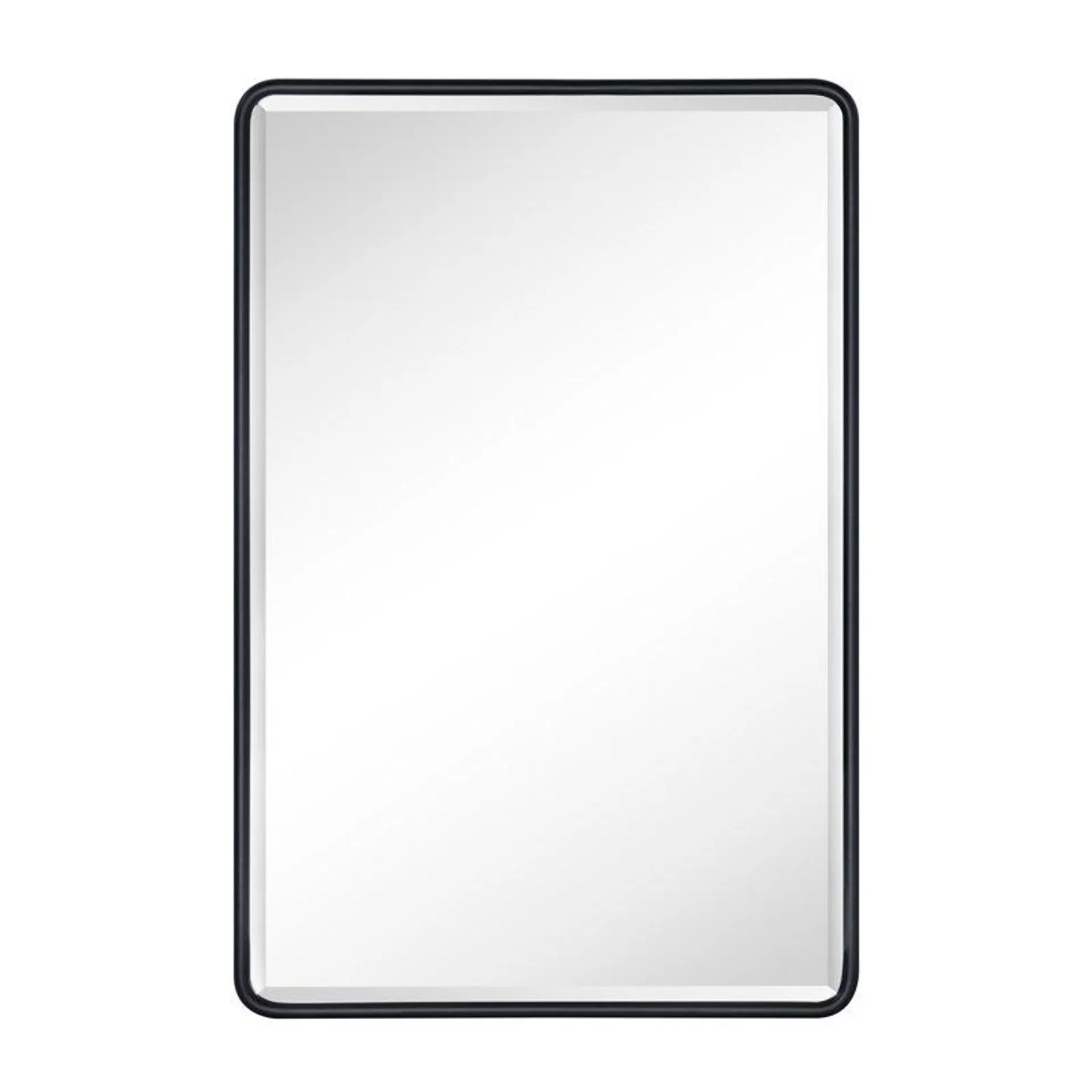 Bryand Farmhouse Surface Mount Metal Bathroom Medicine Cabinets with Mirror