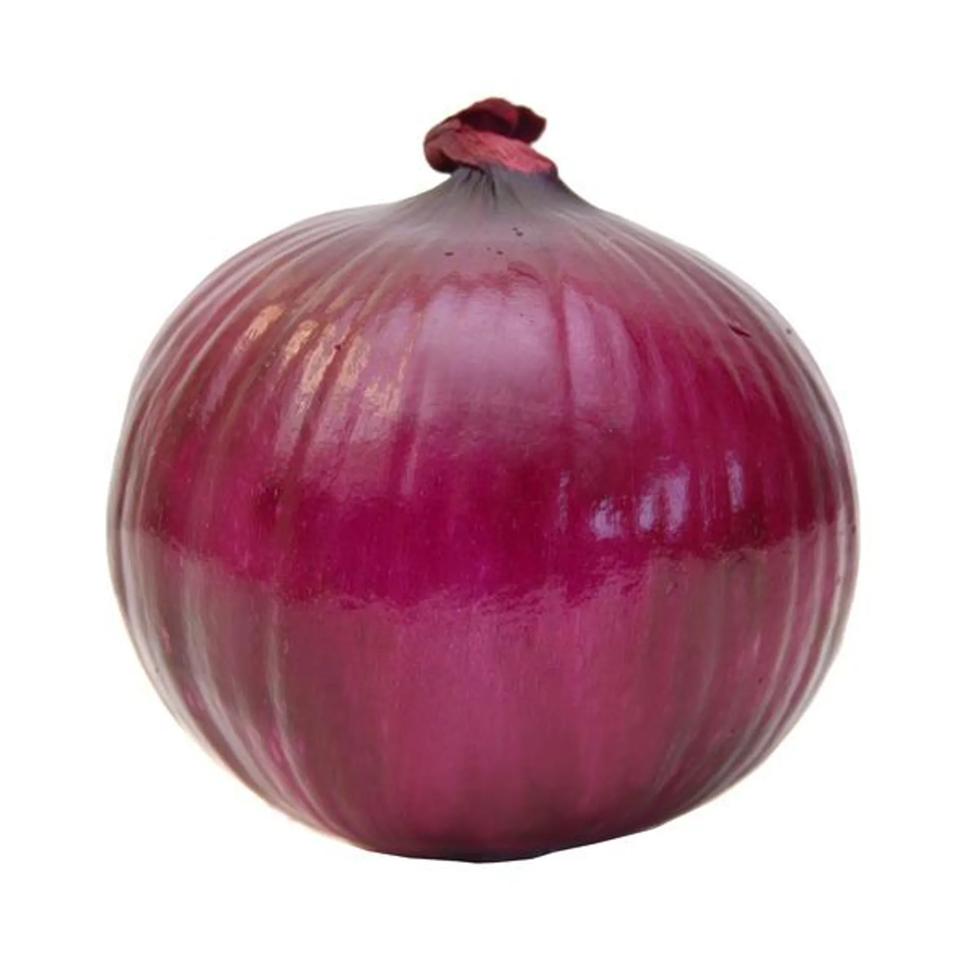 Red Onion