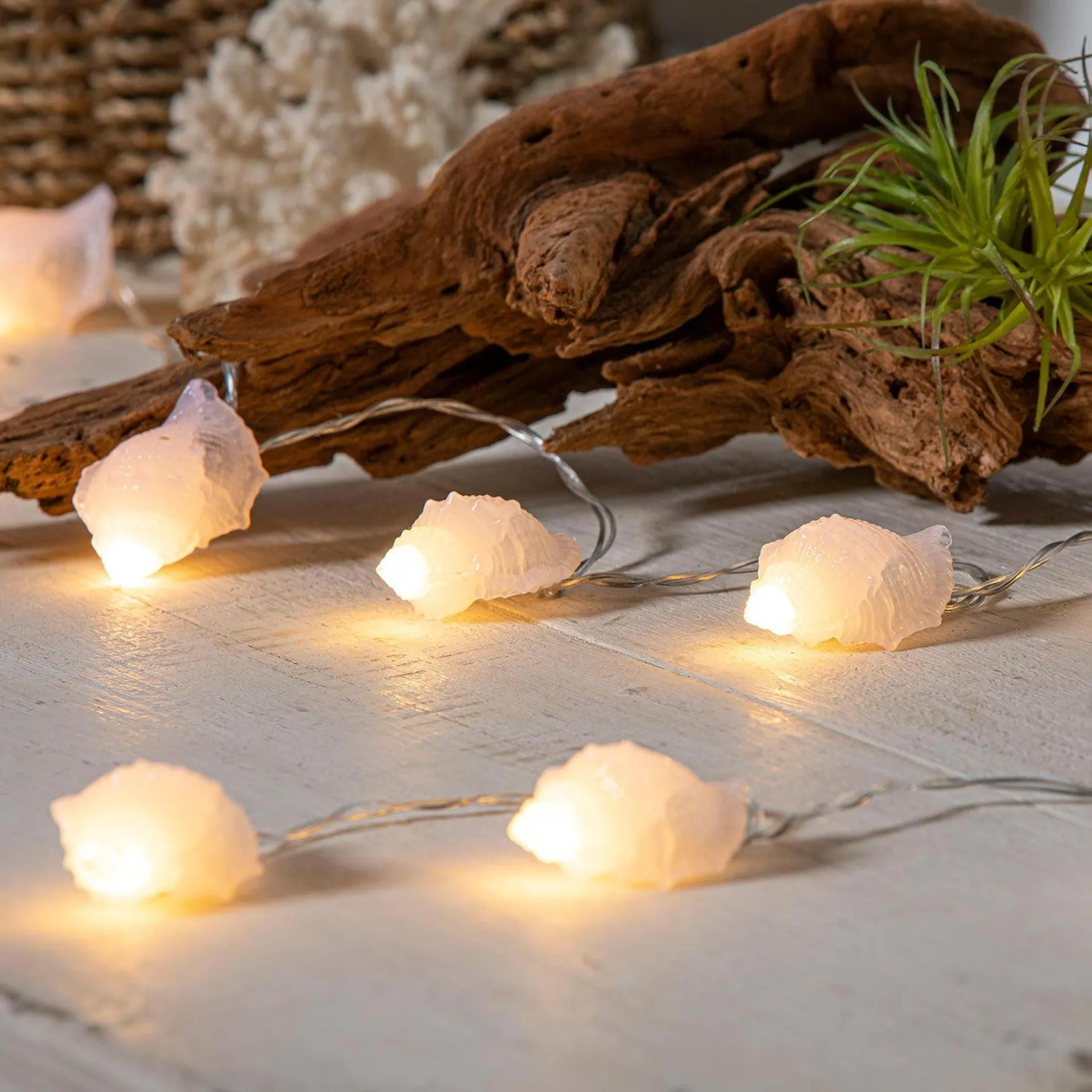 Coastal Seashell String Lights