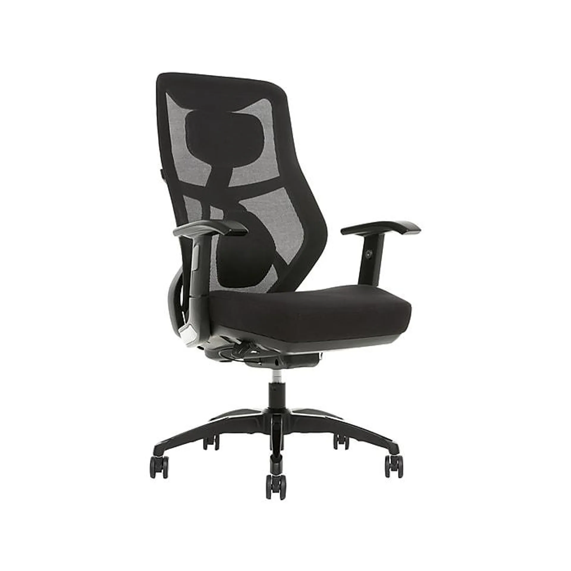 Beautyrest Duo-EX Ergonomic Mesh Swivel Task Chair,