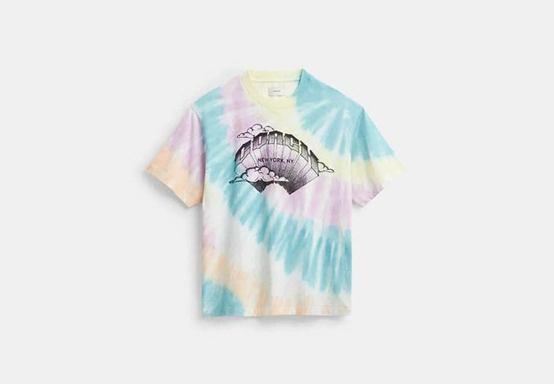 Tie Dye Crewneck T Shirt In Organic Cotton