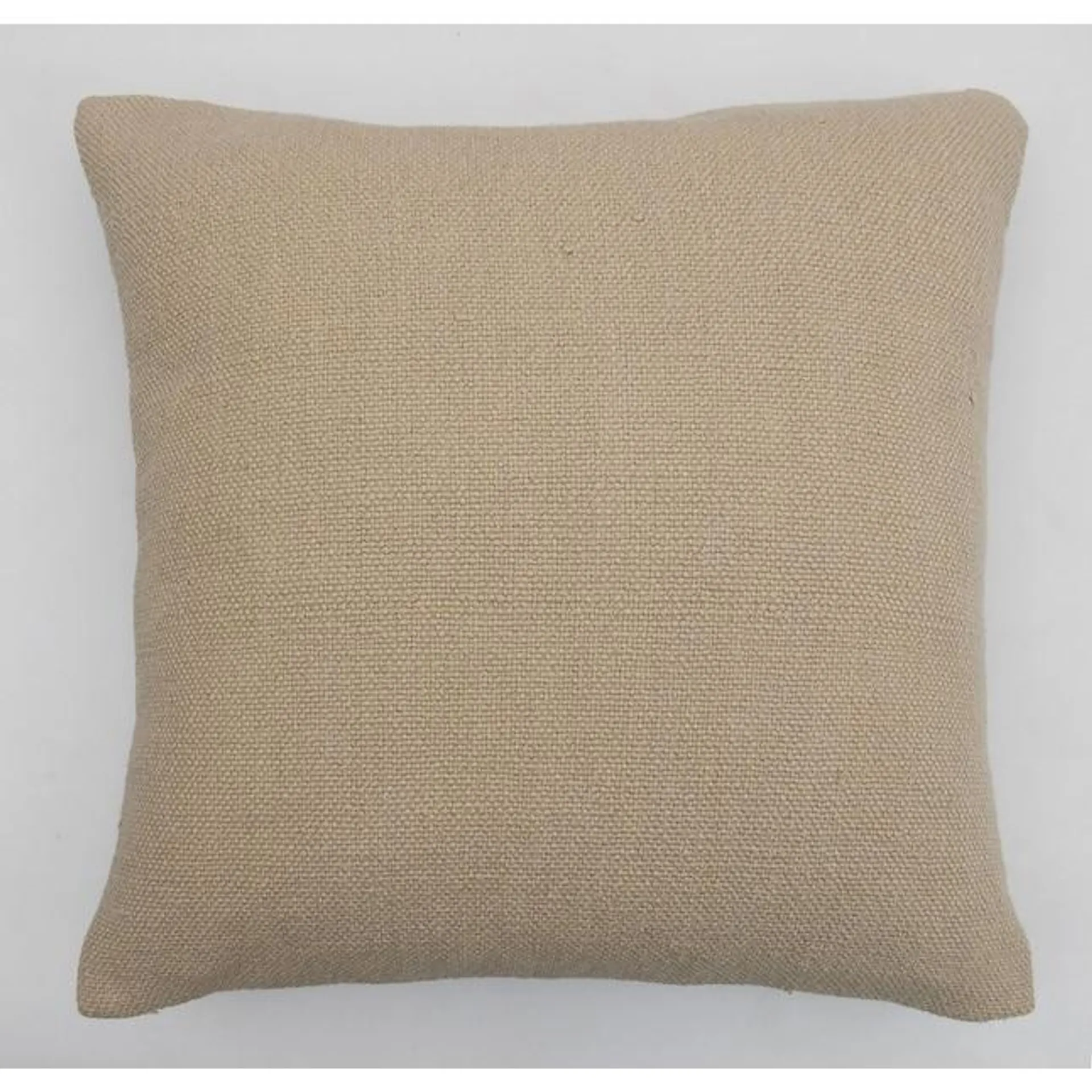 allen + roth 22-in x 22-in Cream Indoor Decorative Pillow