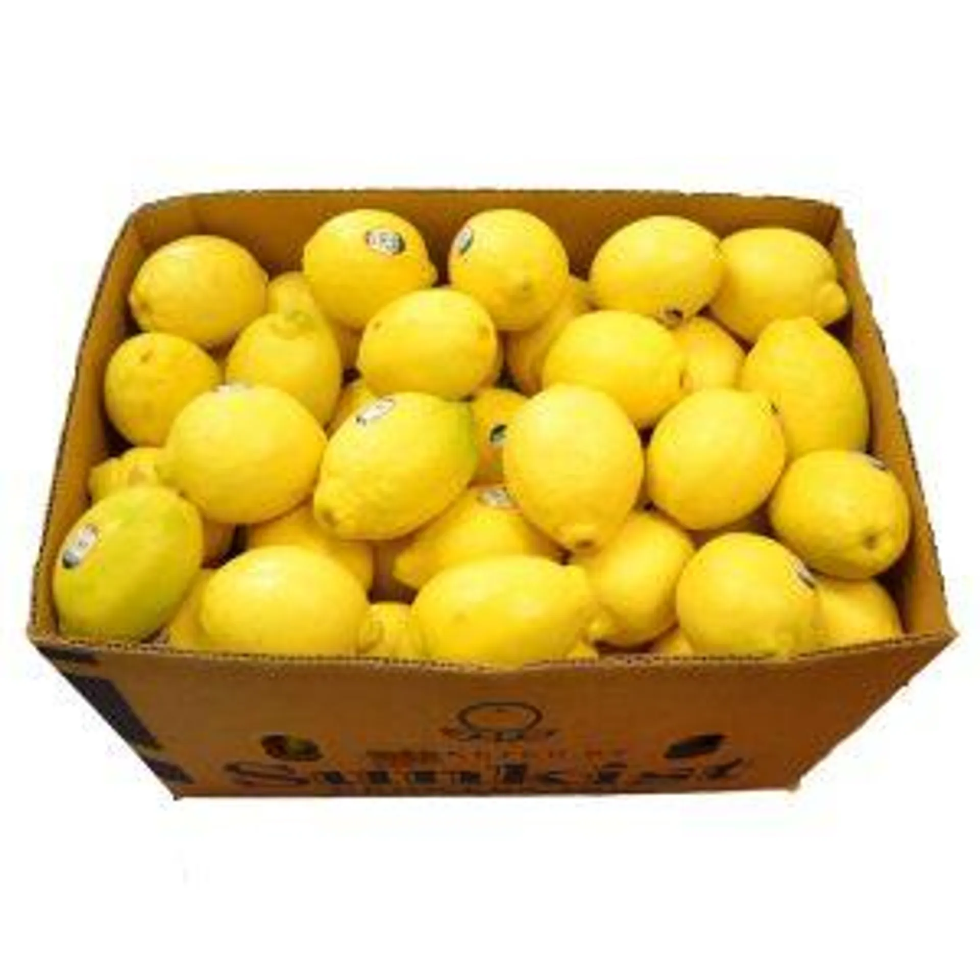 Lemons, Fresh