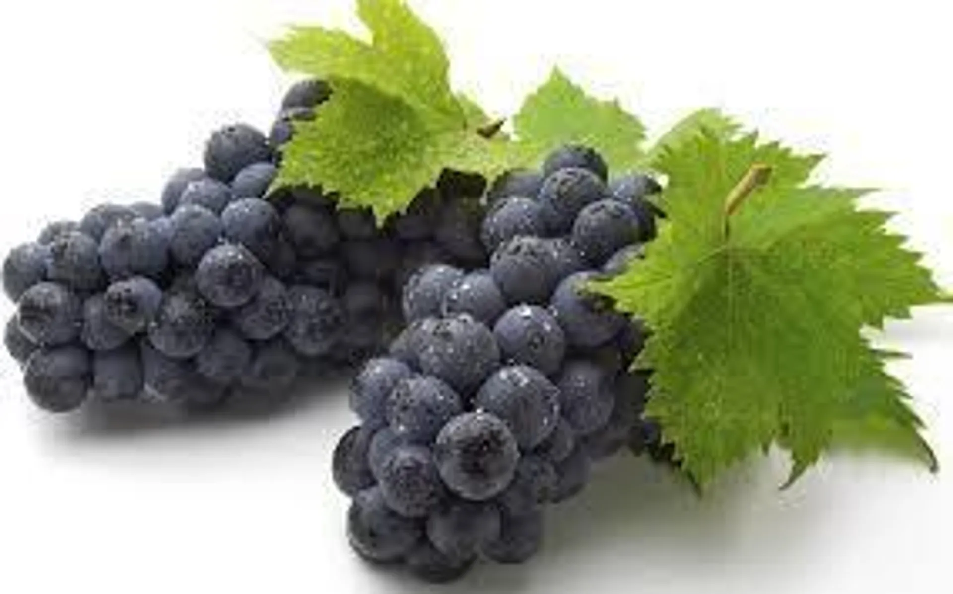 BLACK SEEDLESS GRAPES