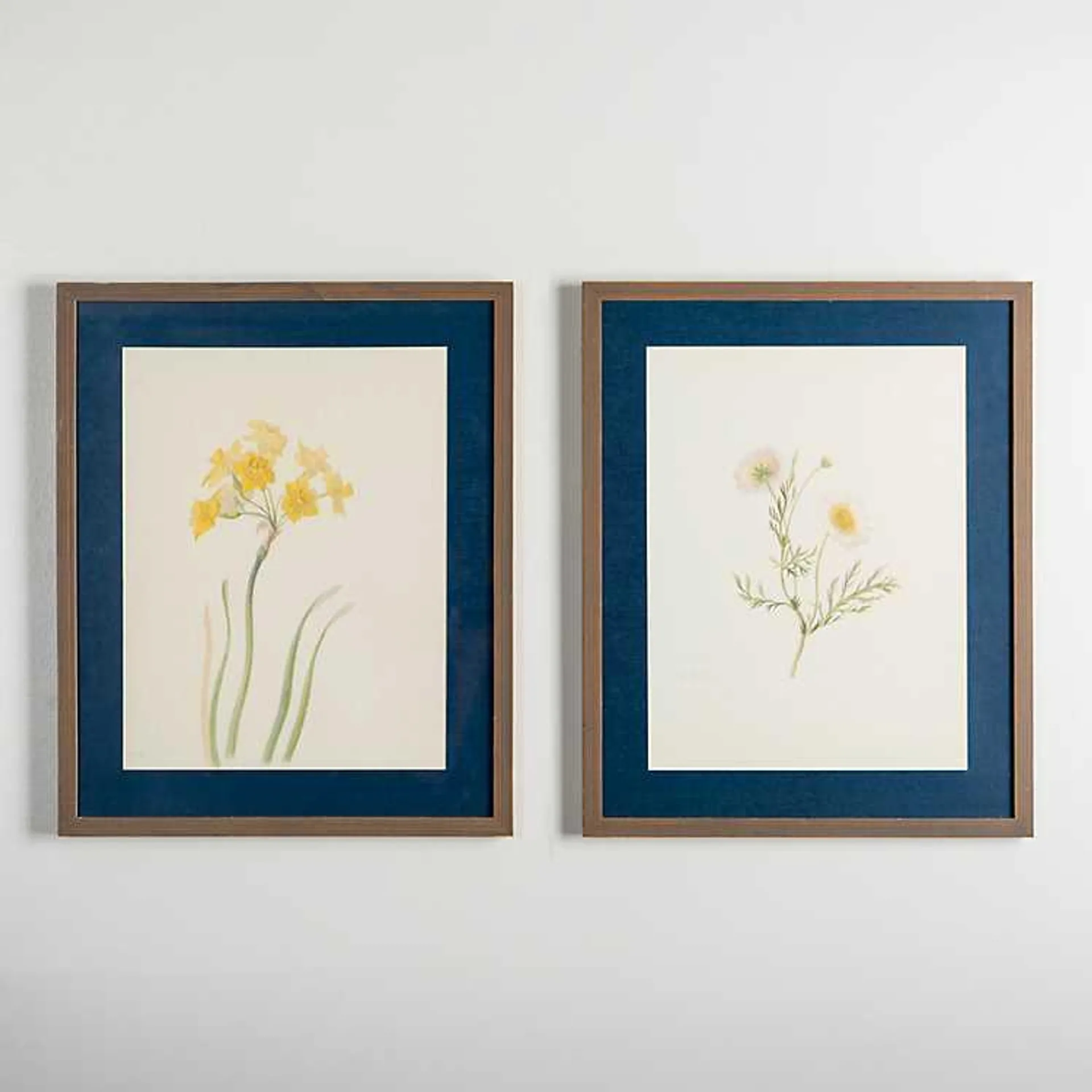 Floral Portrait Framed Art Prints, Set of 2