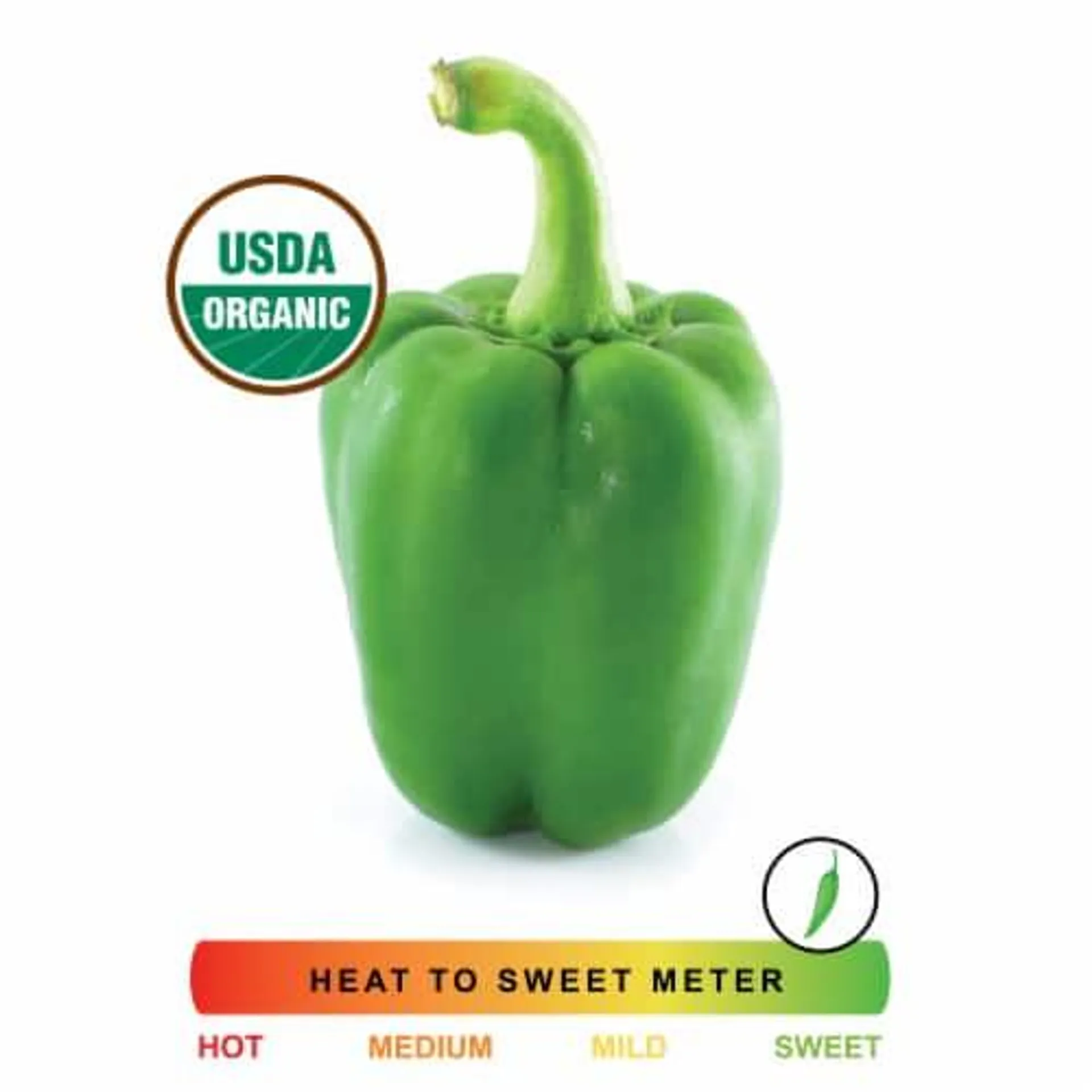 Organic Fresh Green Bell Pepper