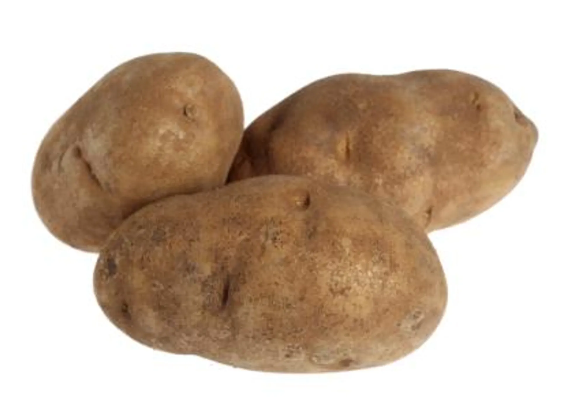 Bulk Russet Potatoes