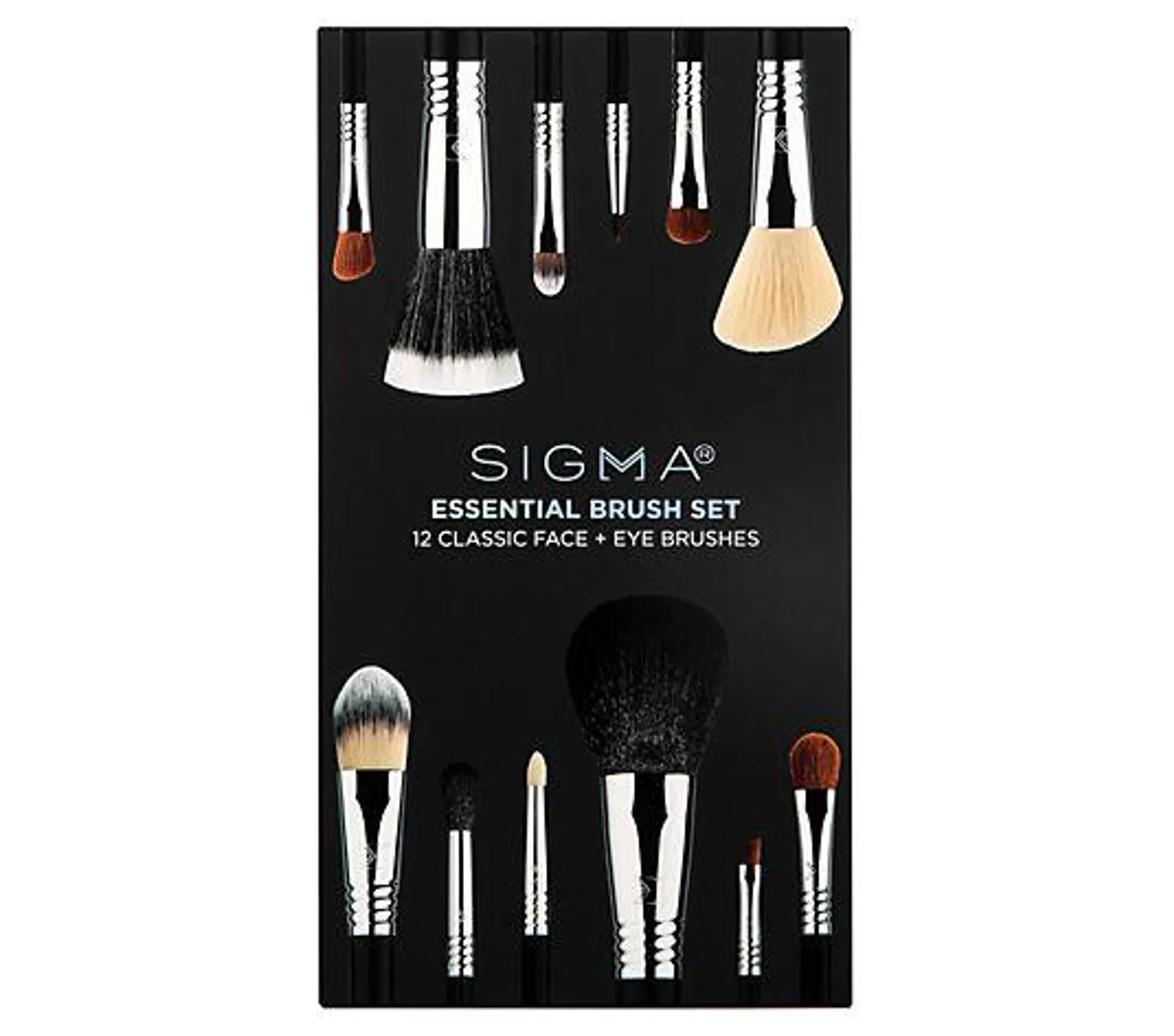 Sigma Essential Brush Set