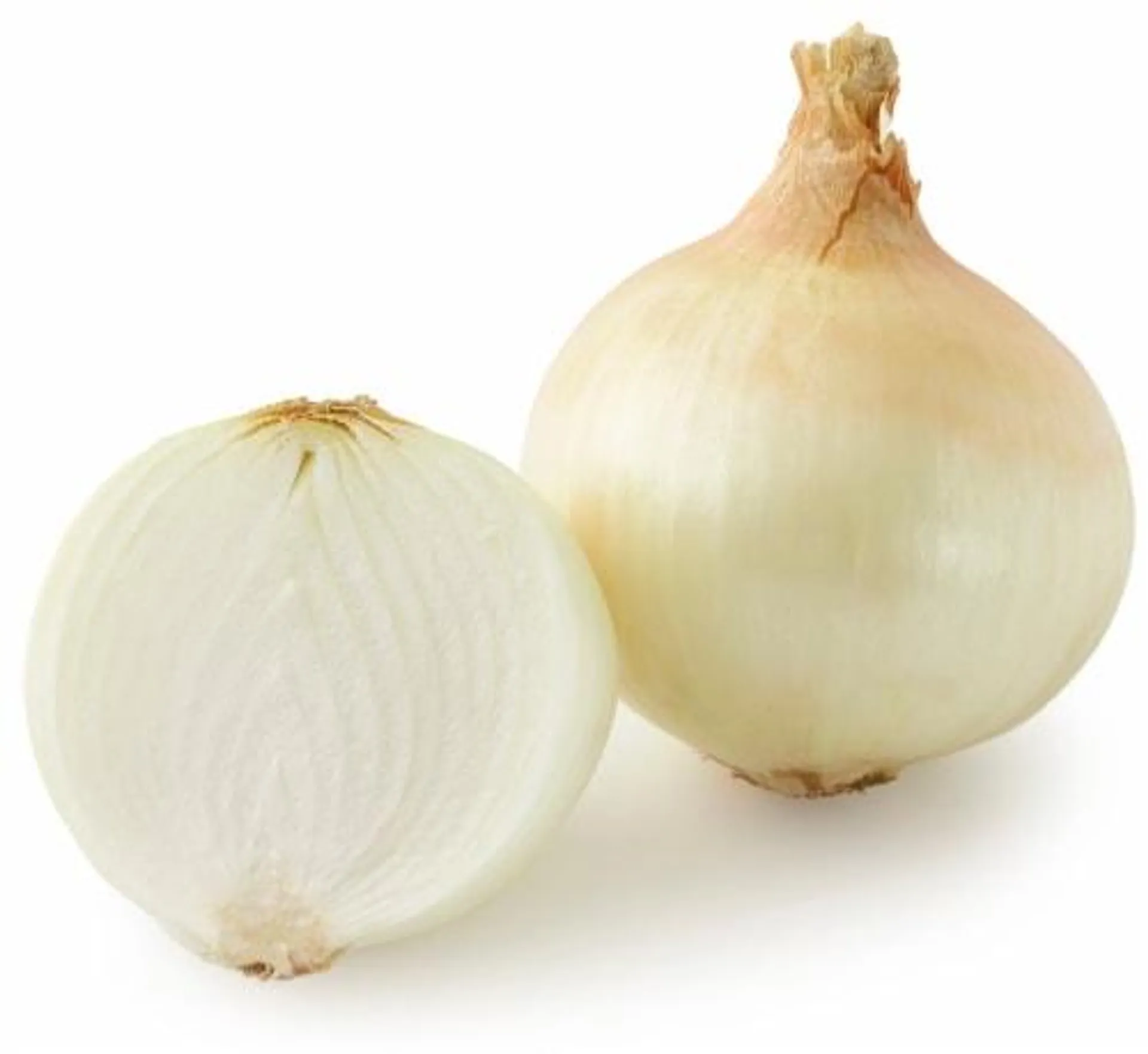 Medium Yellow Onions