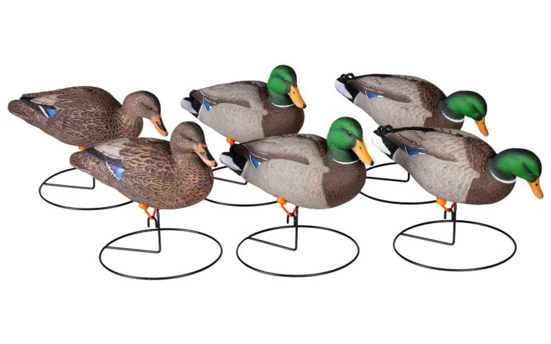 Northern Flight Full Body Mallard II Duck Decoys