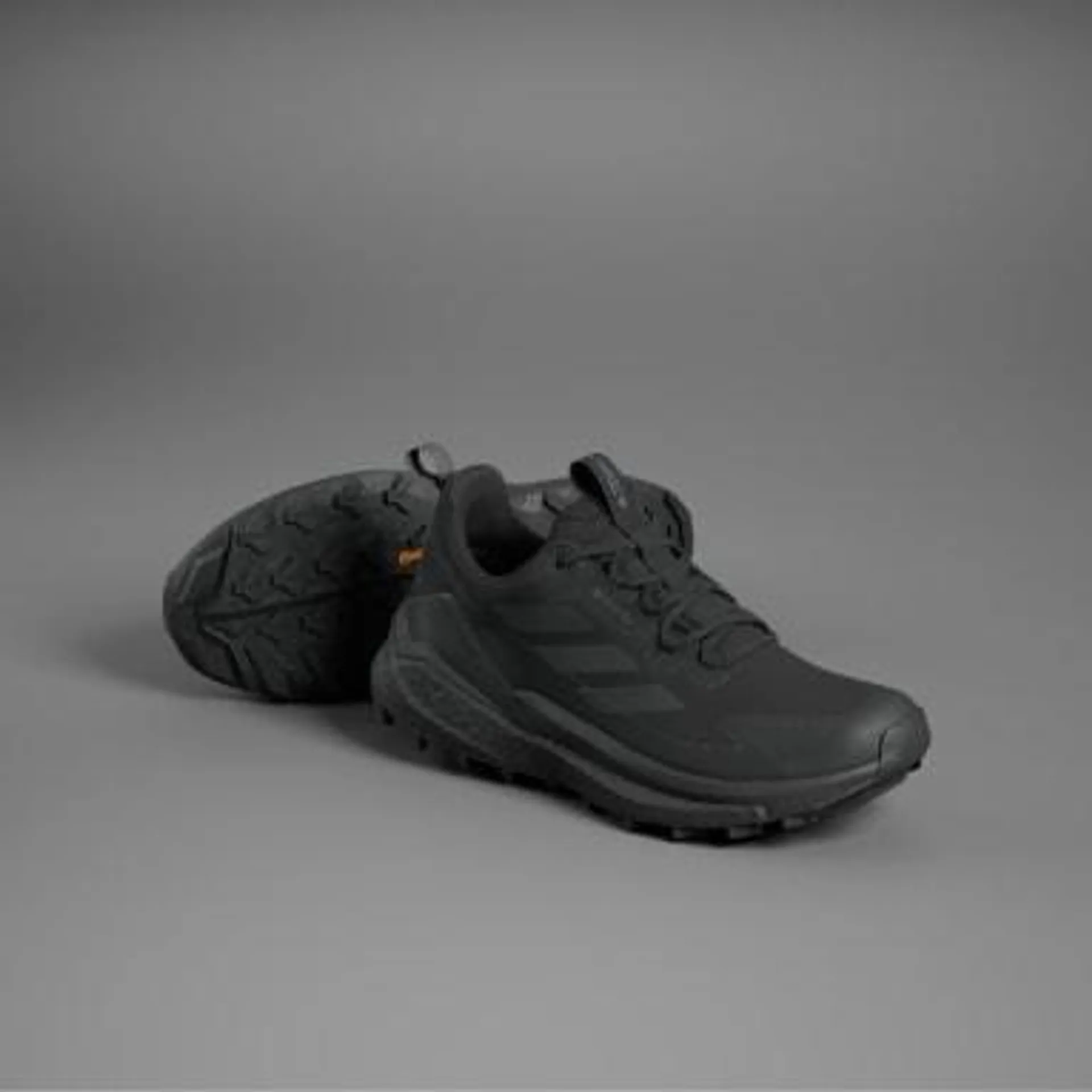 Terrex Free Hiker 2.0 Low GORE-TEX Hiking Shoes