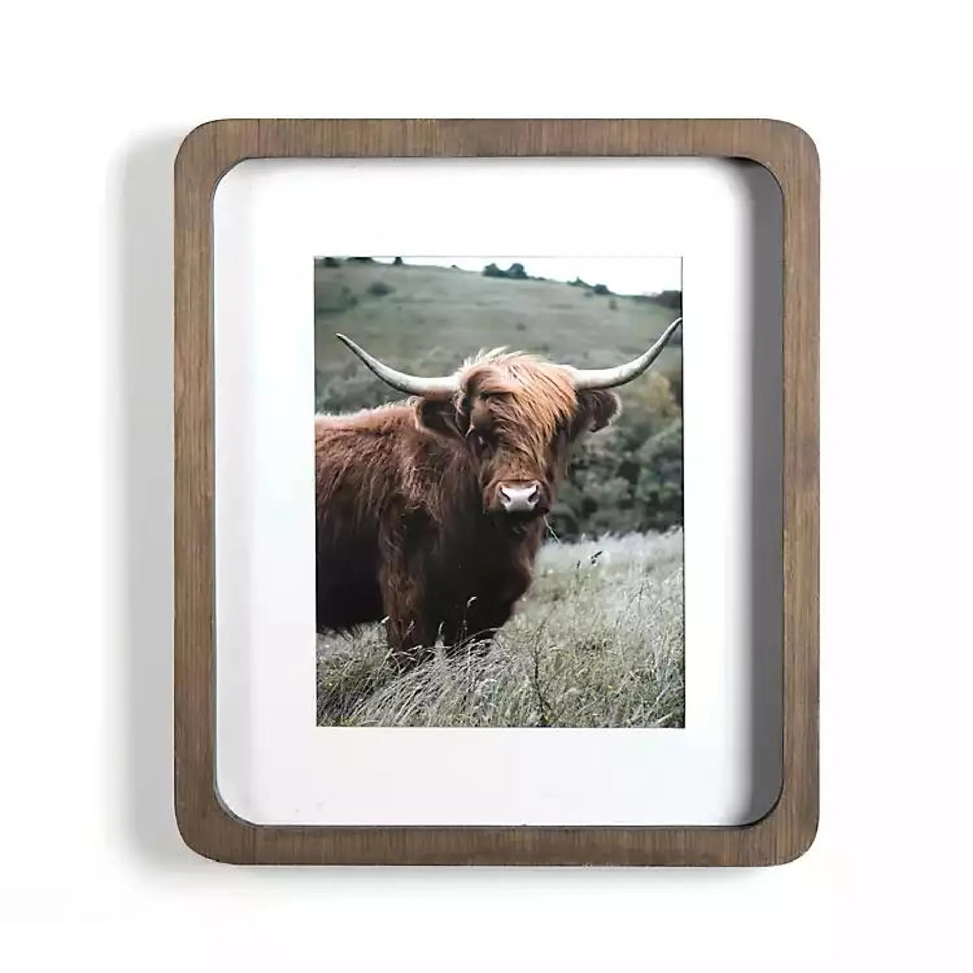 Highland Cow Curved Frame Art Print