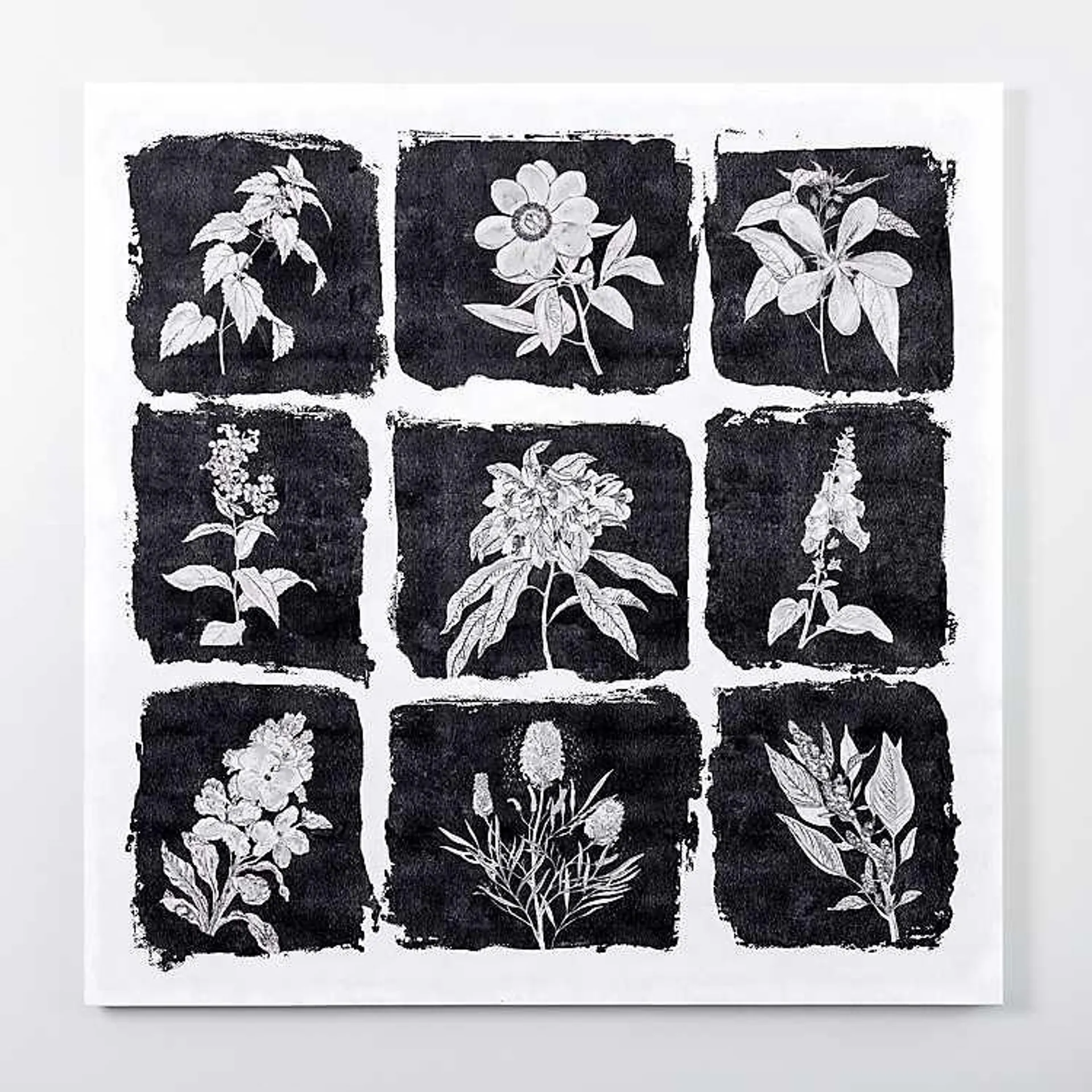 Black and White 9-Patch Botanical Canvas Art Print
