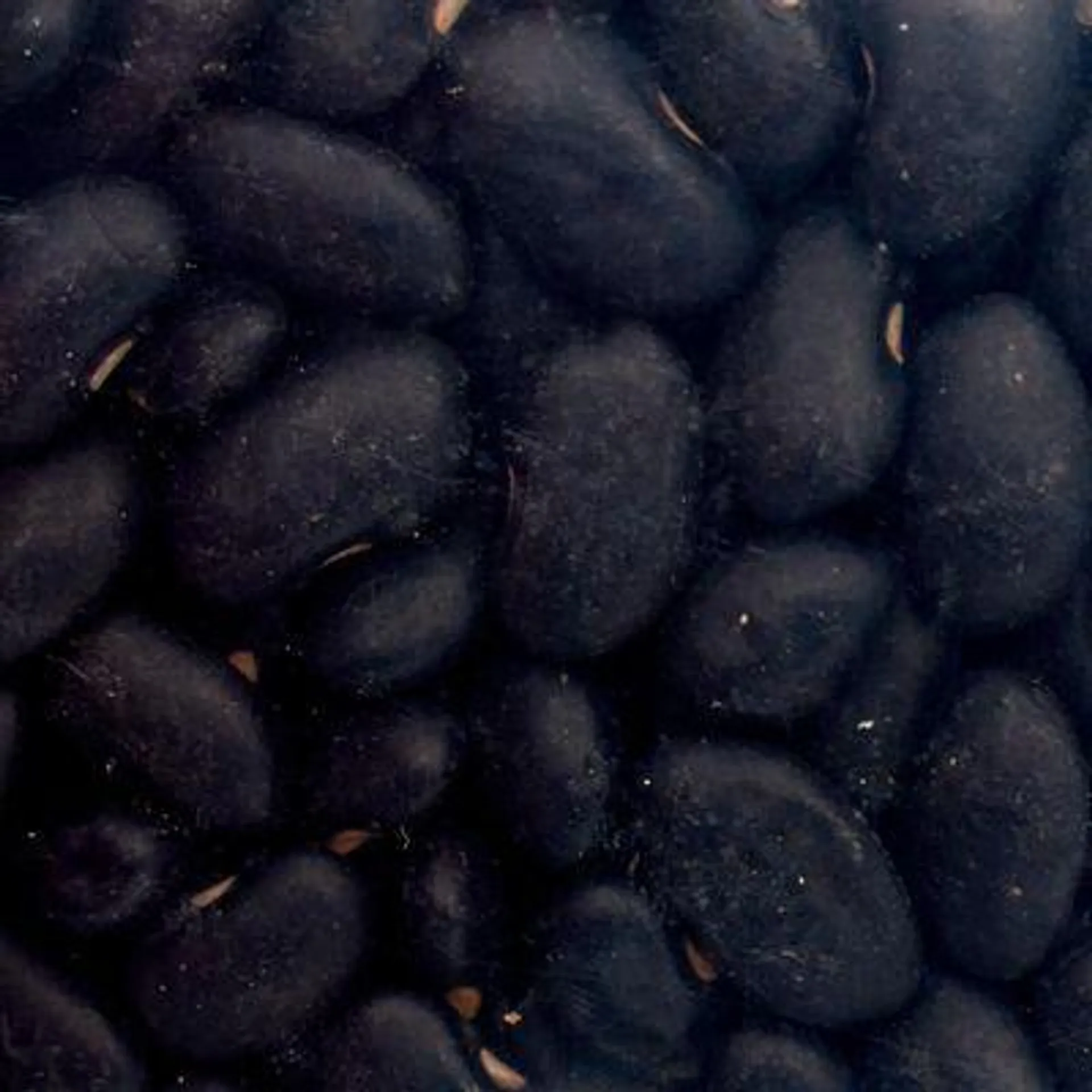 Organic Black Beans (Packaged)