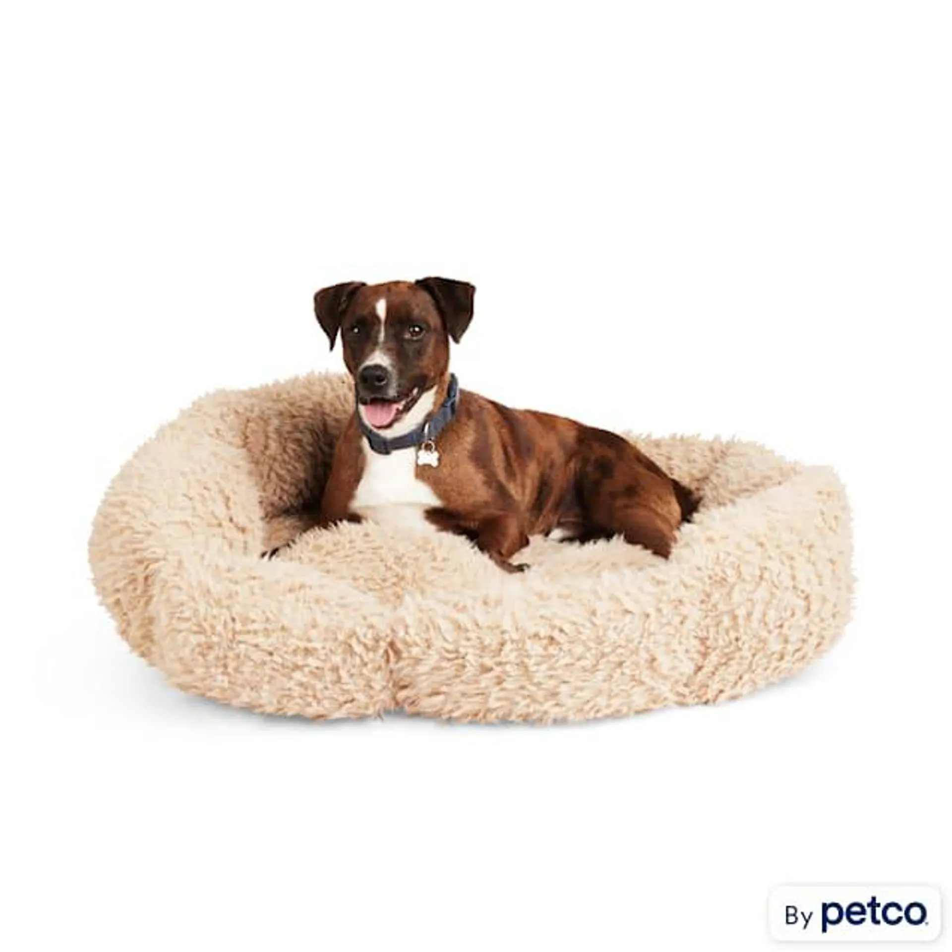 EveryYay Essentials Cozy Boucle Dog Bed, 40" L X 30" W X 10" H