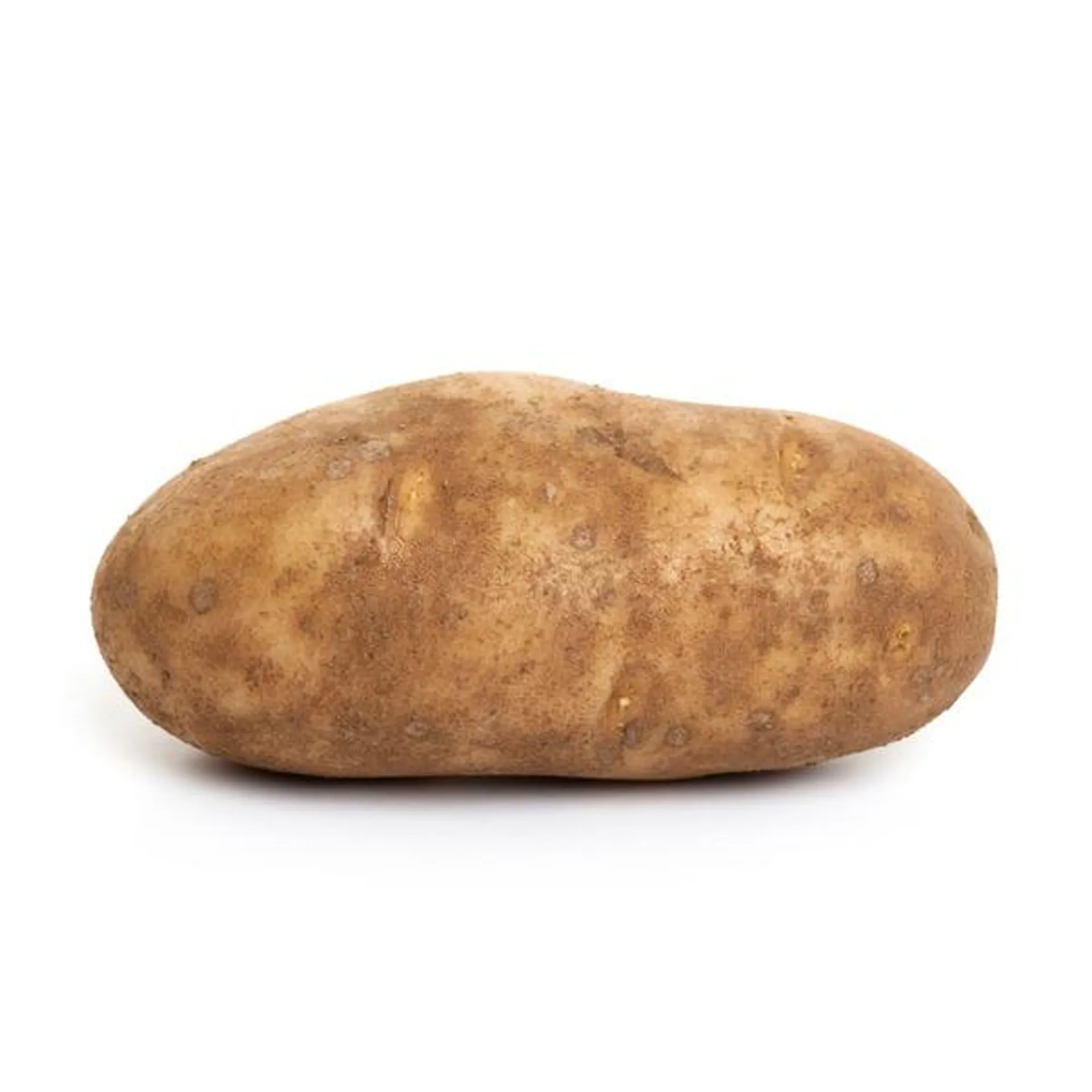 Russet Potato