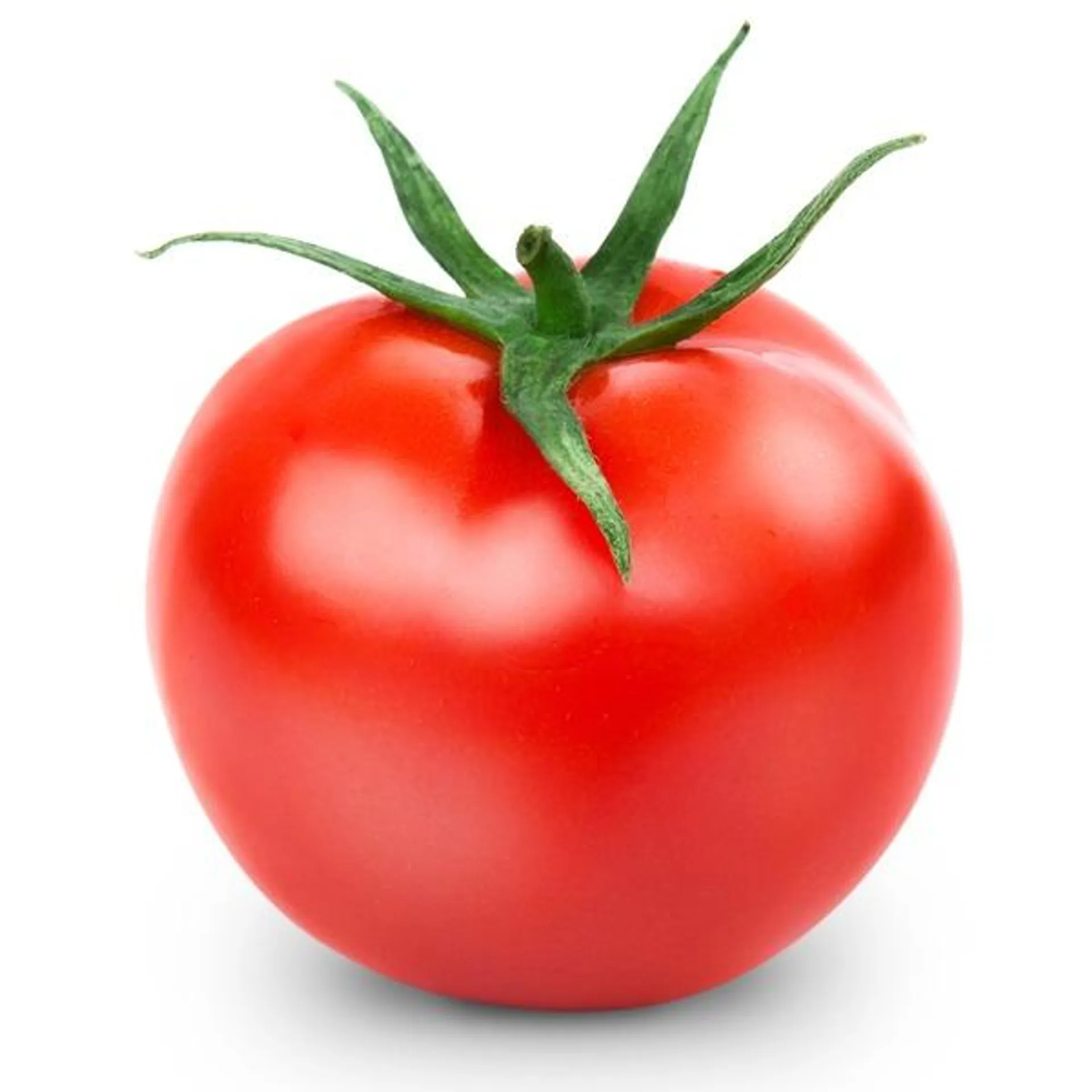 Tomato