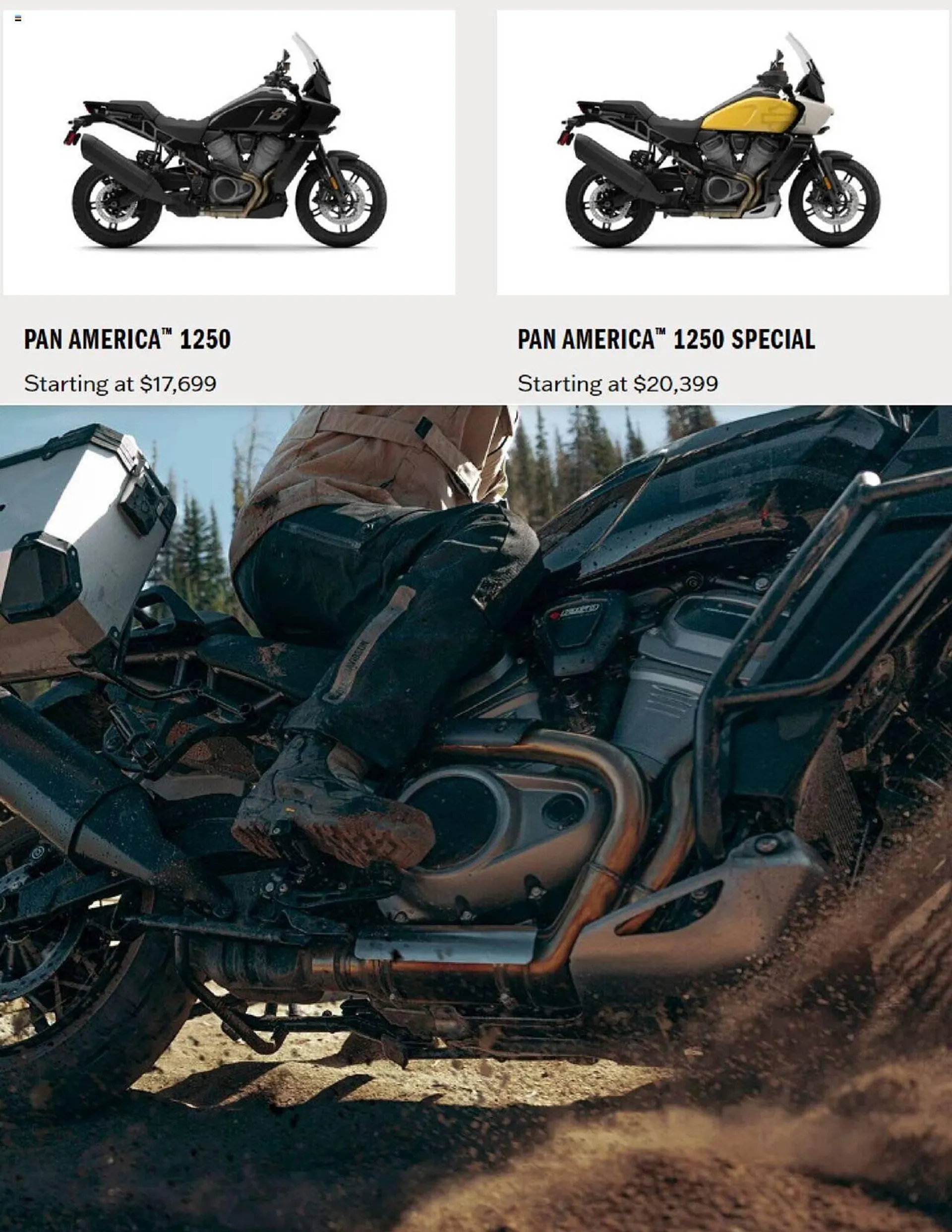Harley Davidson ad - 7