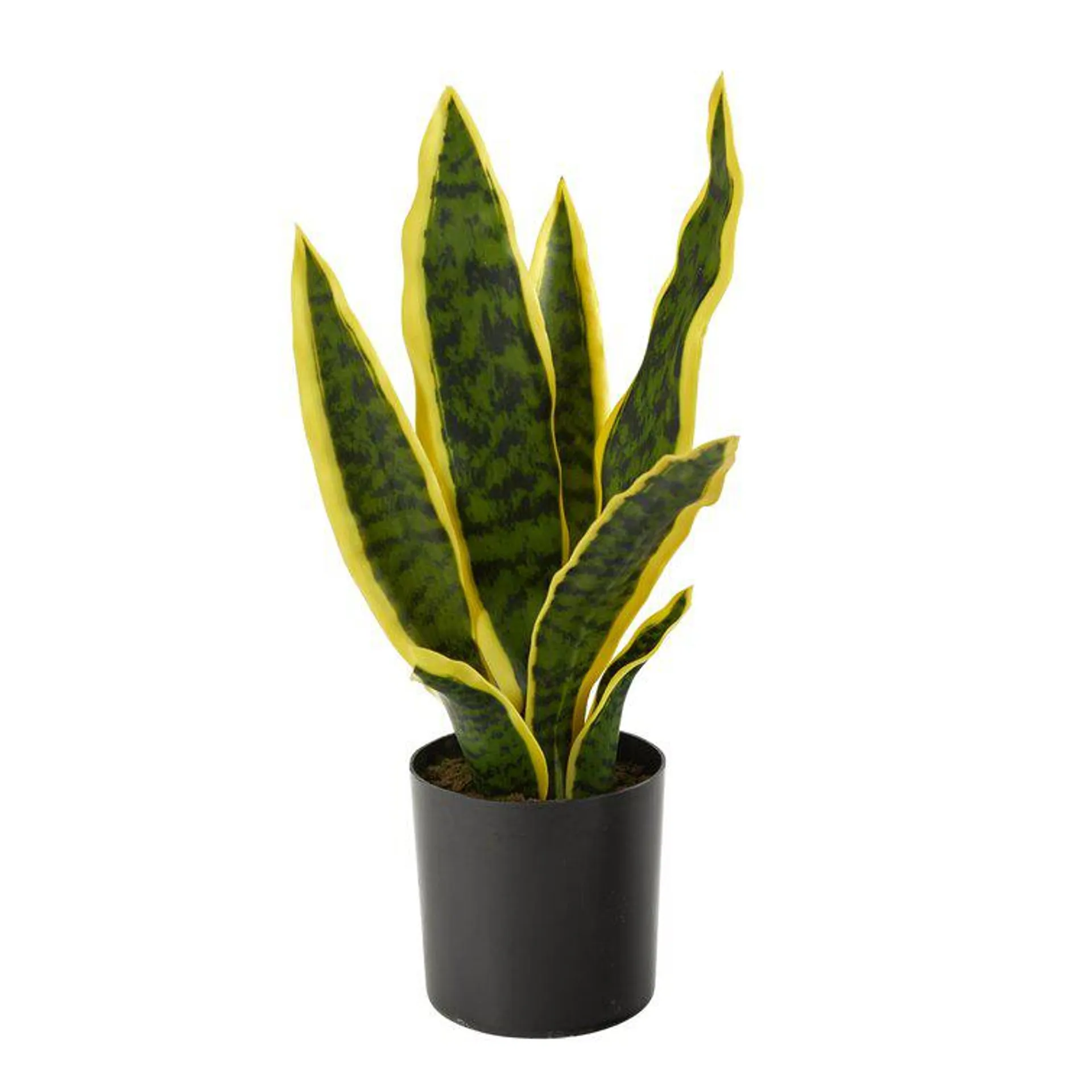Faux Snake Plant Plant in Pot