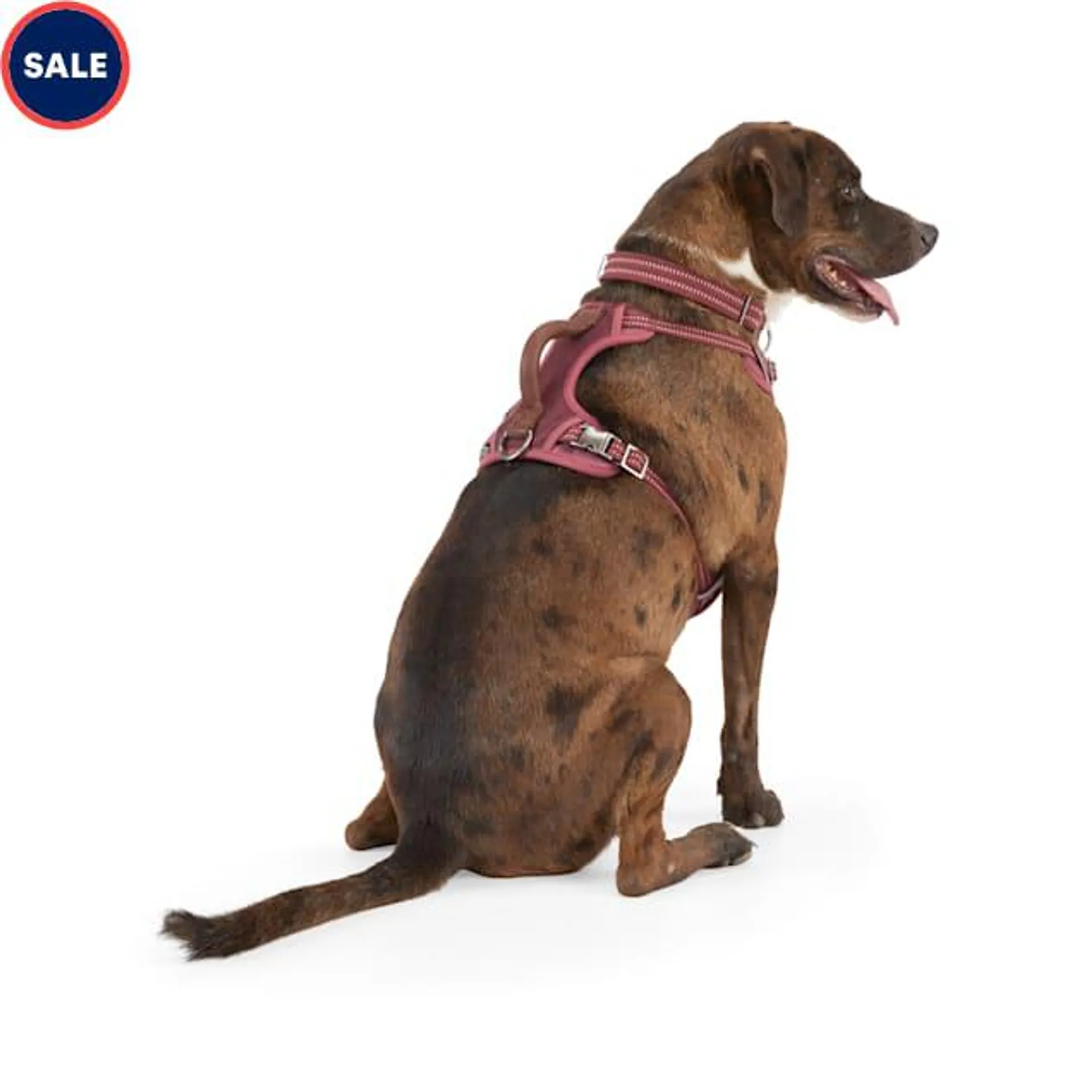 Reddy Burgundy Canvas Dog Harness, Medium
