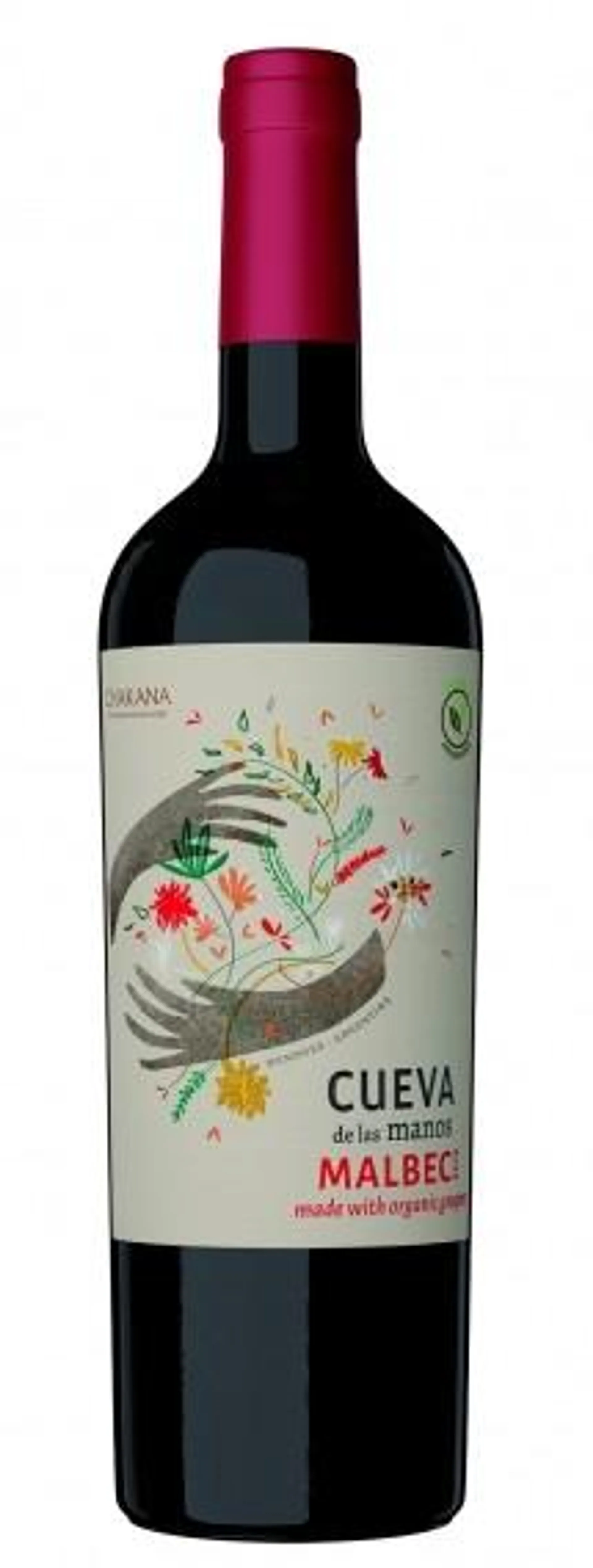 Chakana - Cueva de las Manos Cabernet Sauvignon 2022