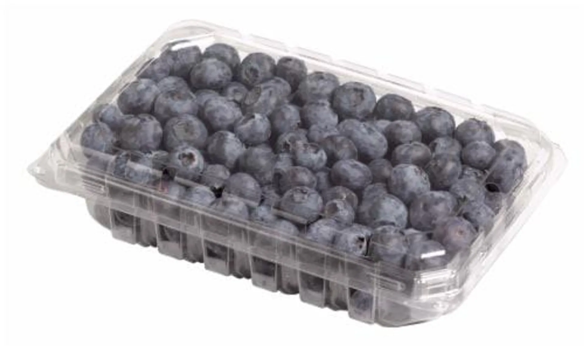 Private Selection™ Fresh Colossal Blueberries