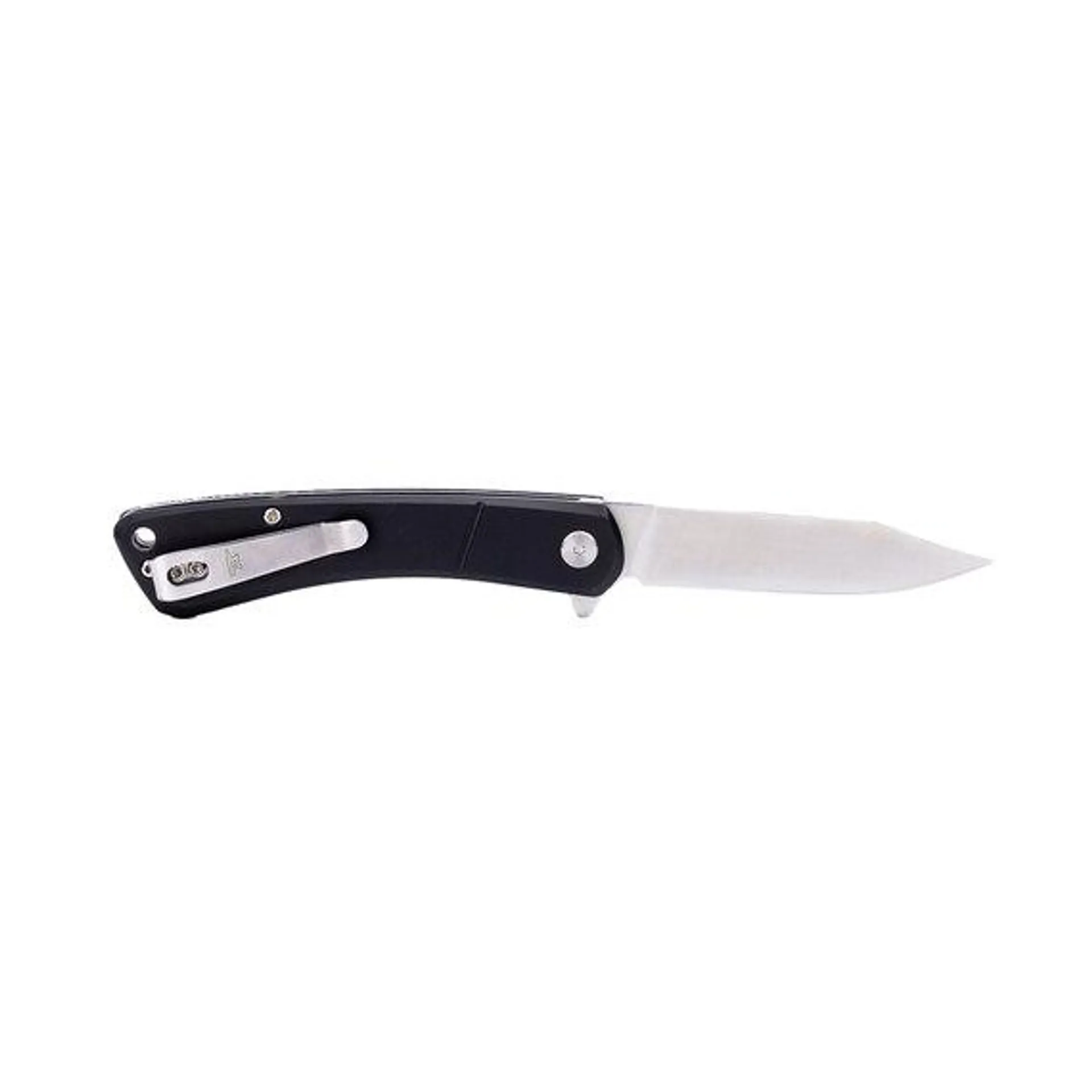 Buck Knives 792 Assisted-Opening Clip Point Folding Pocket Knife