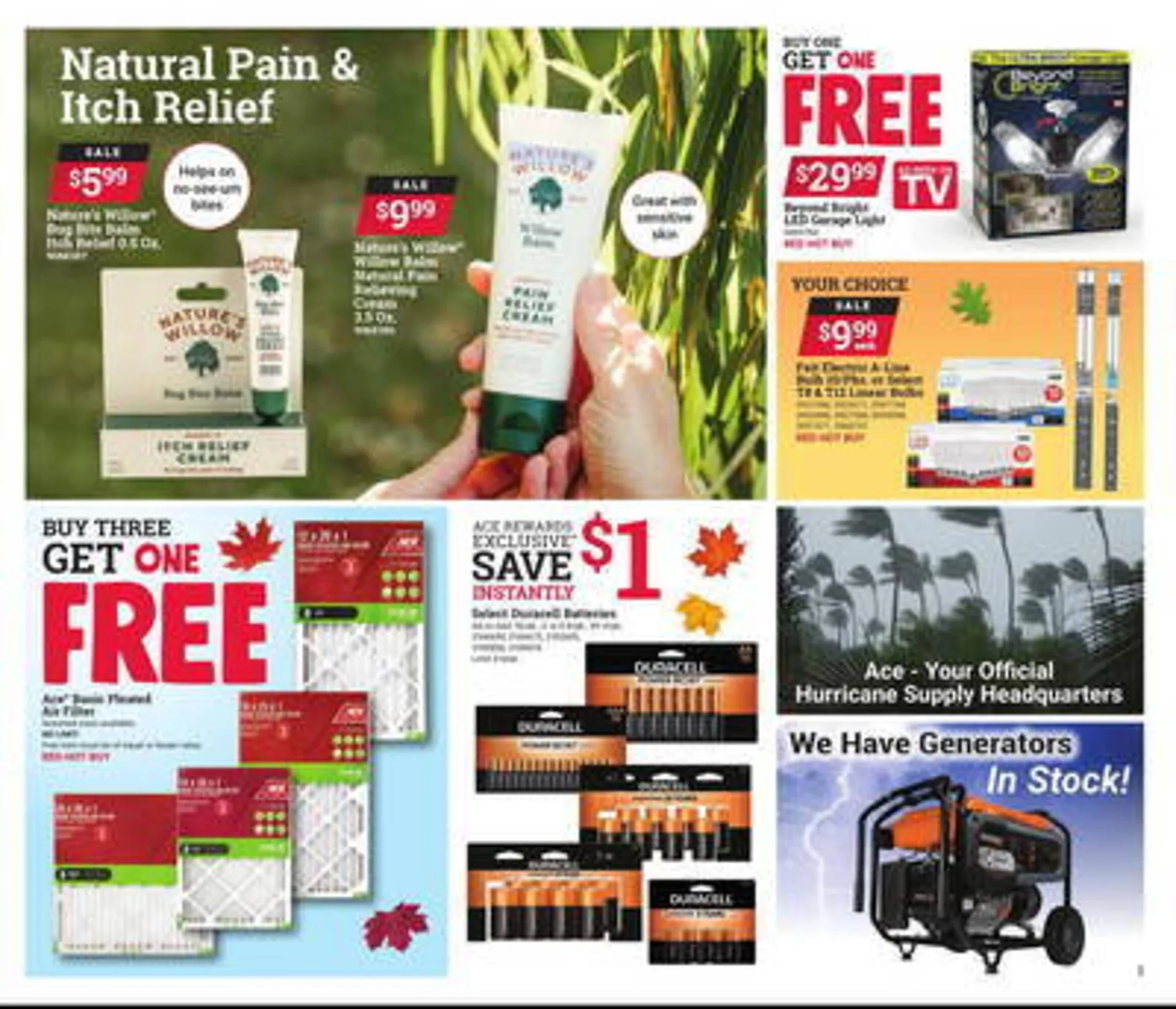 Weekly ad Ace Hardware Weekly Ad from October 1 to October 31 2024 - Page 3