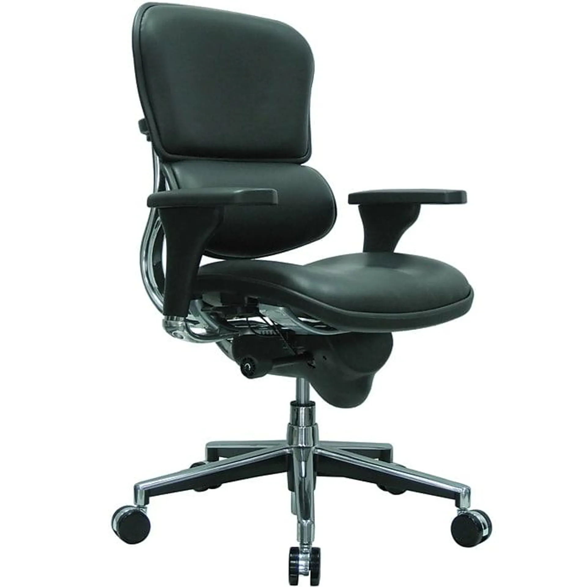 Raynor Eurotech Leather Mid Back Ergo human Chair,