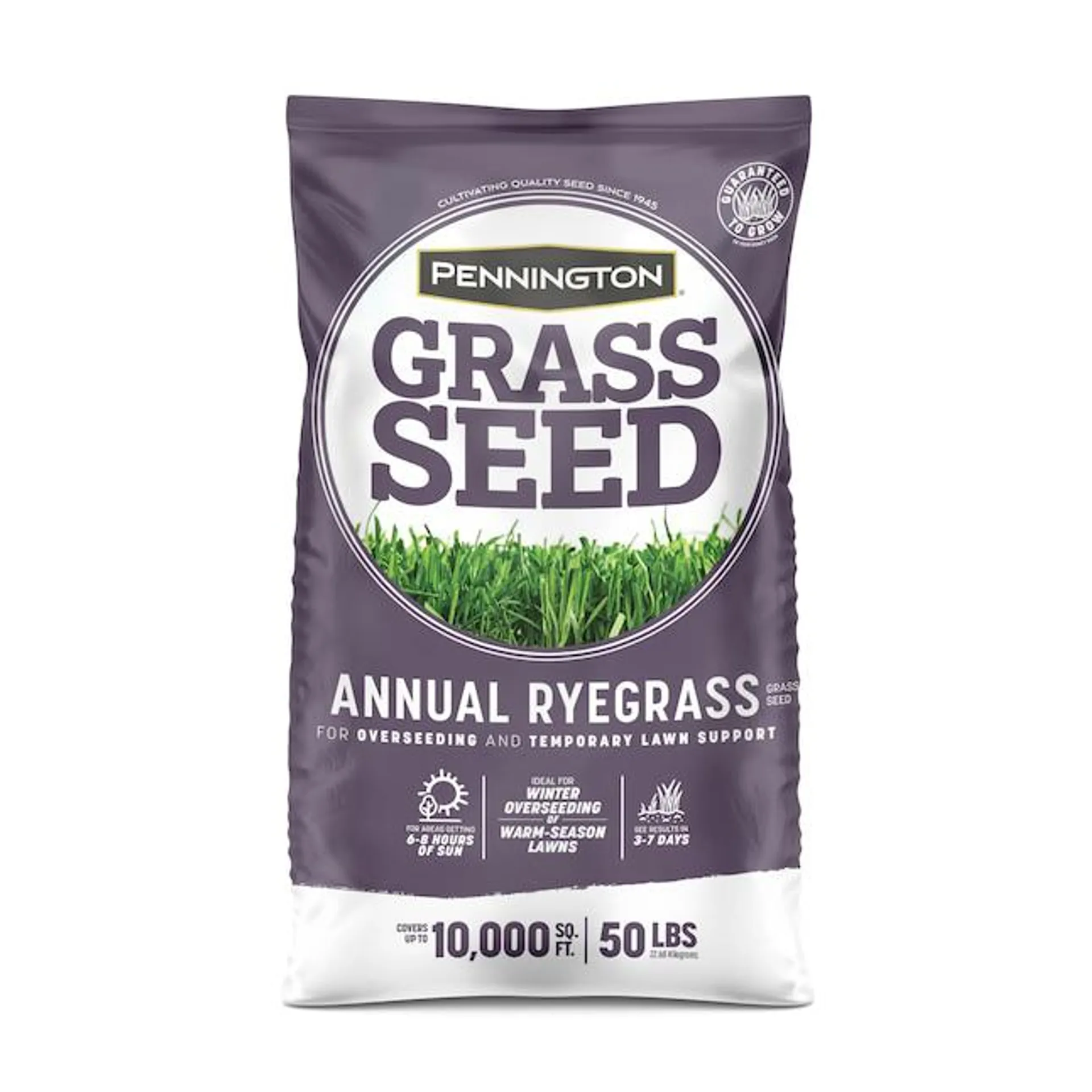 Pennington 50 lbs. Annual Ryegrass Grass Seed
