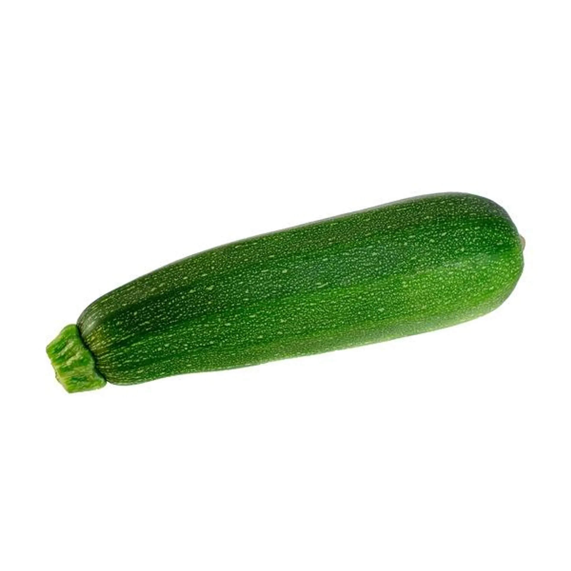 Organic Zucchini Squash