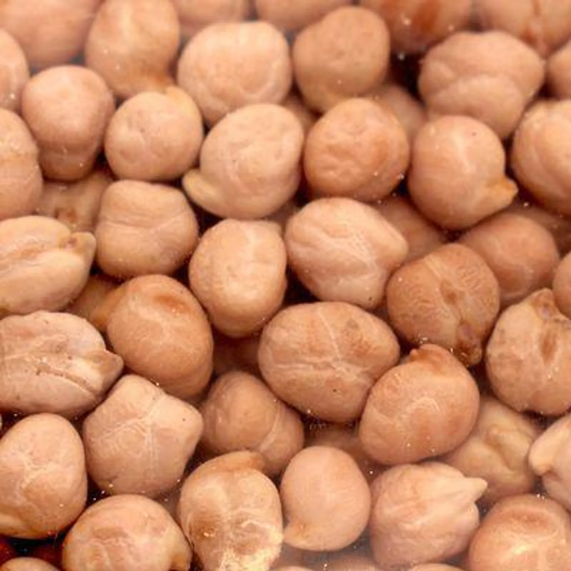 Organic Garbanzo Beans (Packaged)