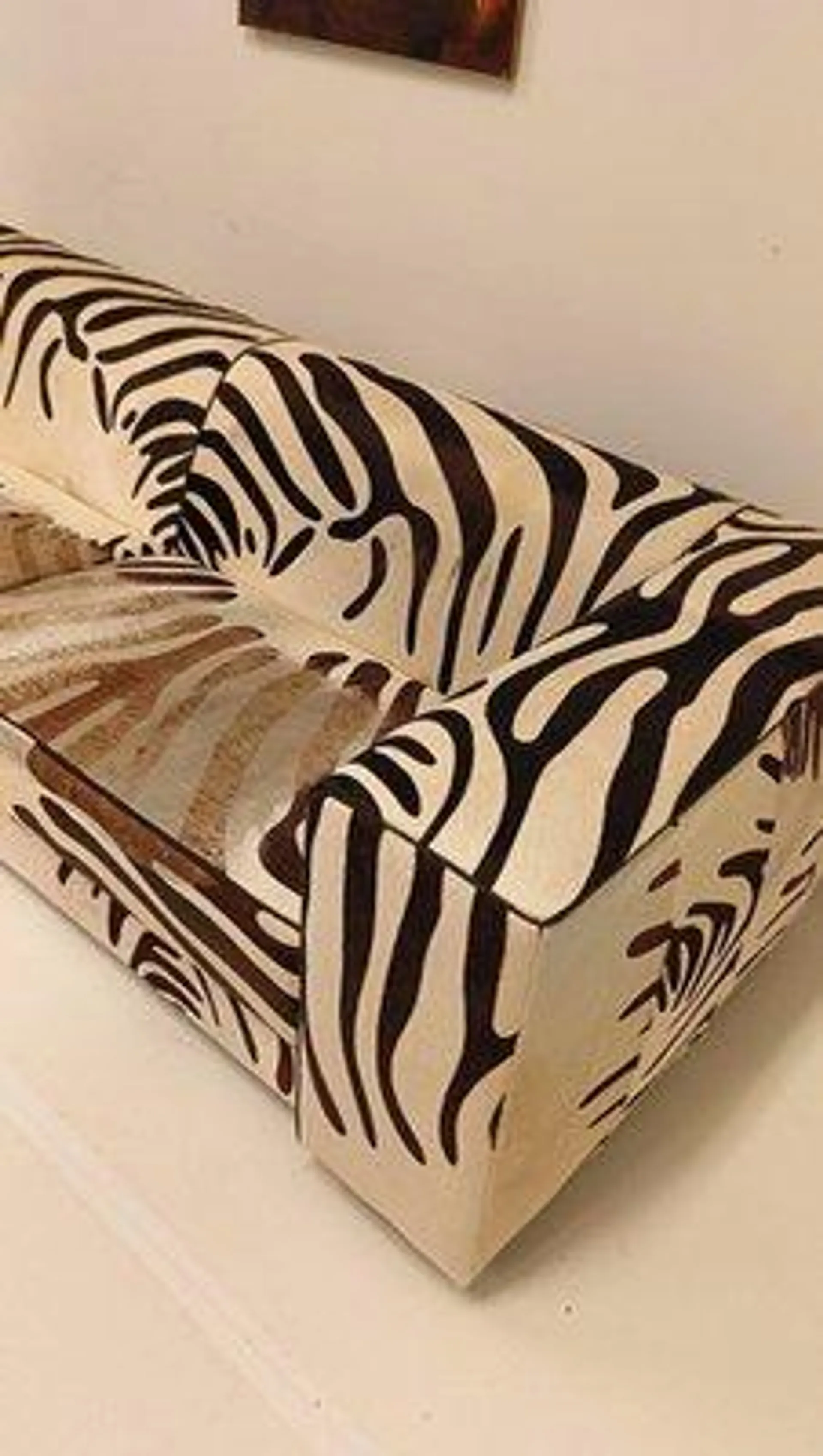 Vintage Zebra Style Sofa