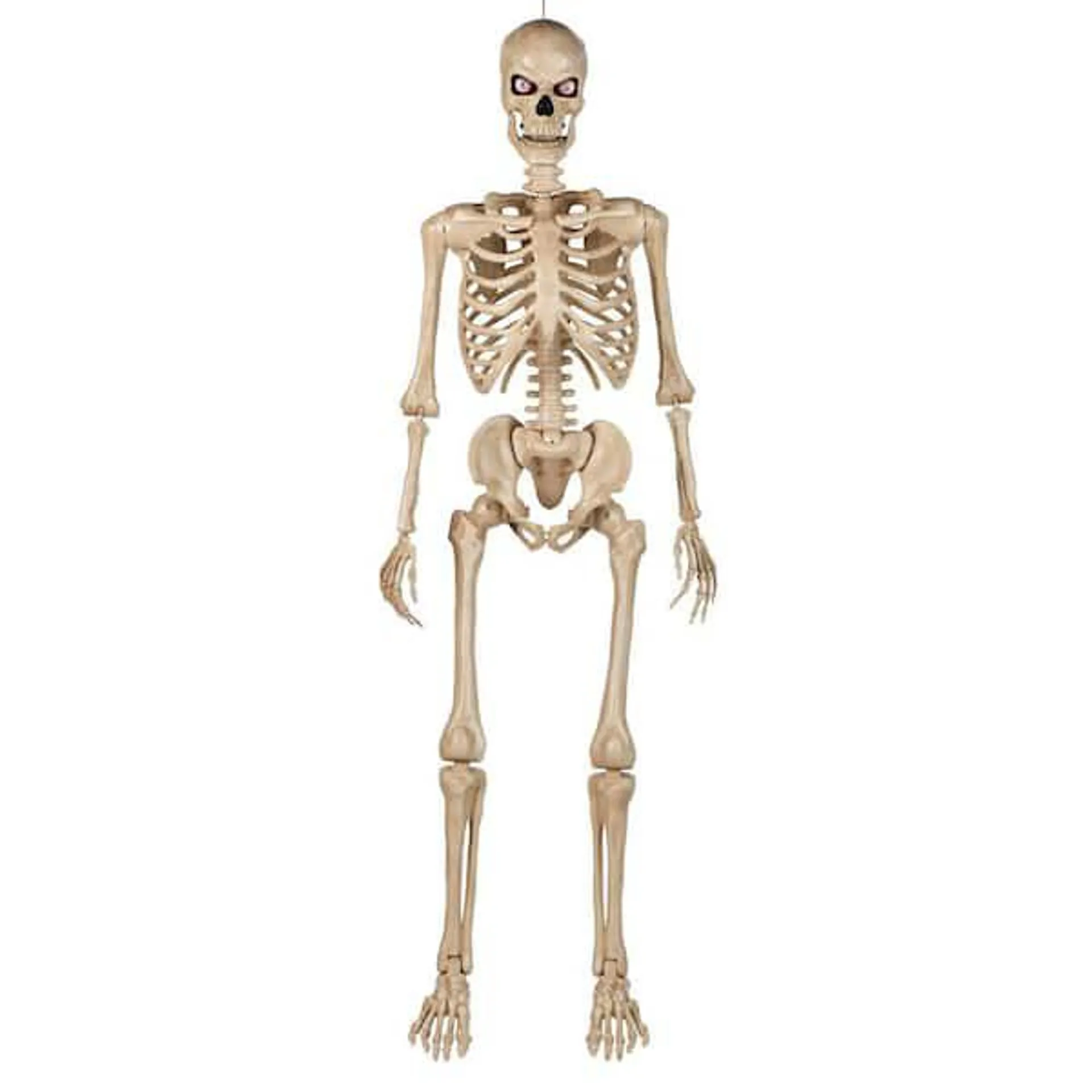 5 ft. Ultra Poseable Skeleton with Glowing LED Eyes