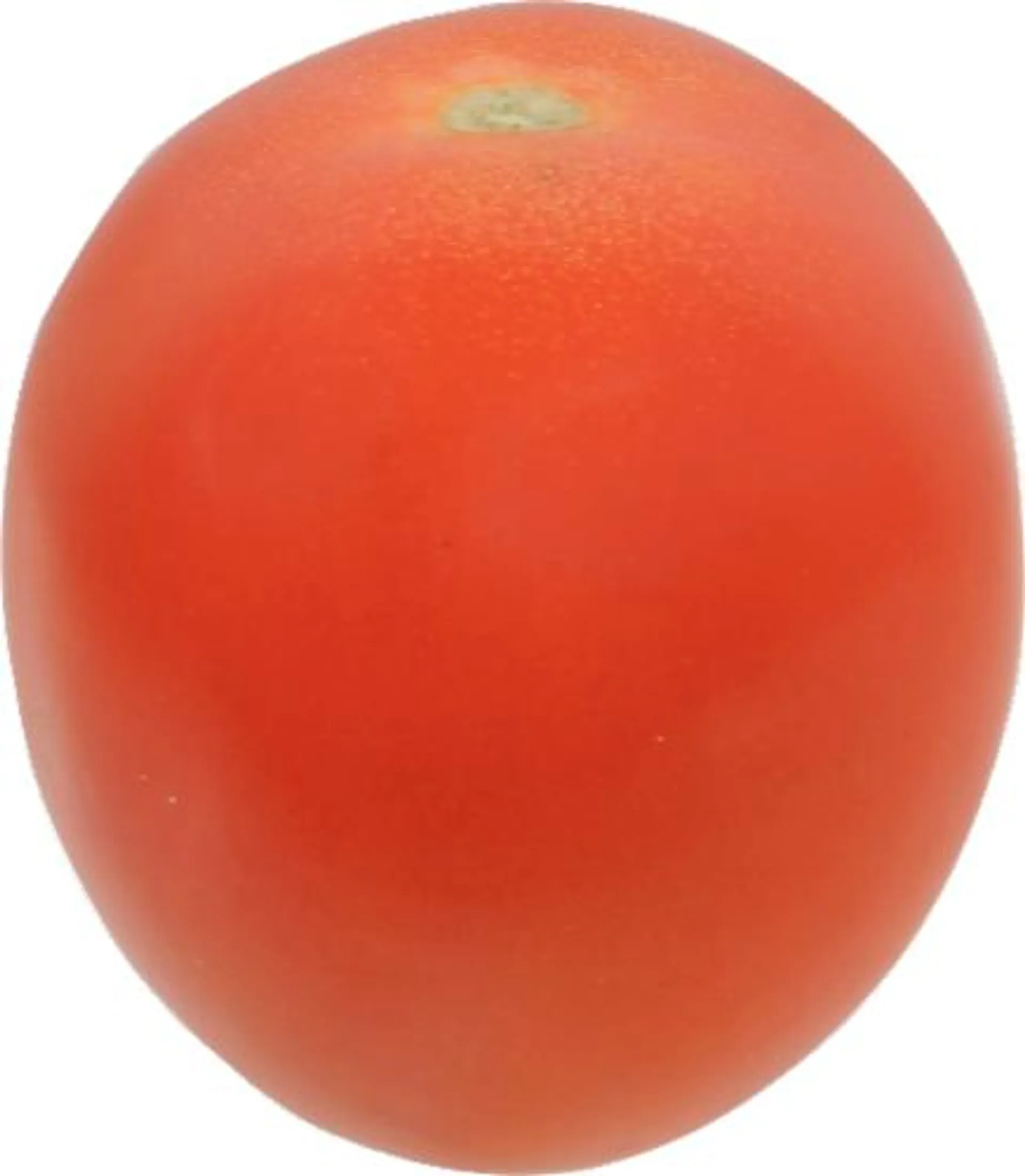 Organic Roma Tomatoes