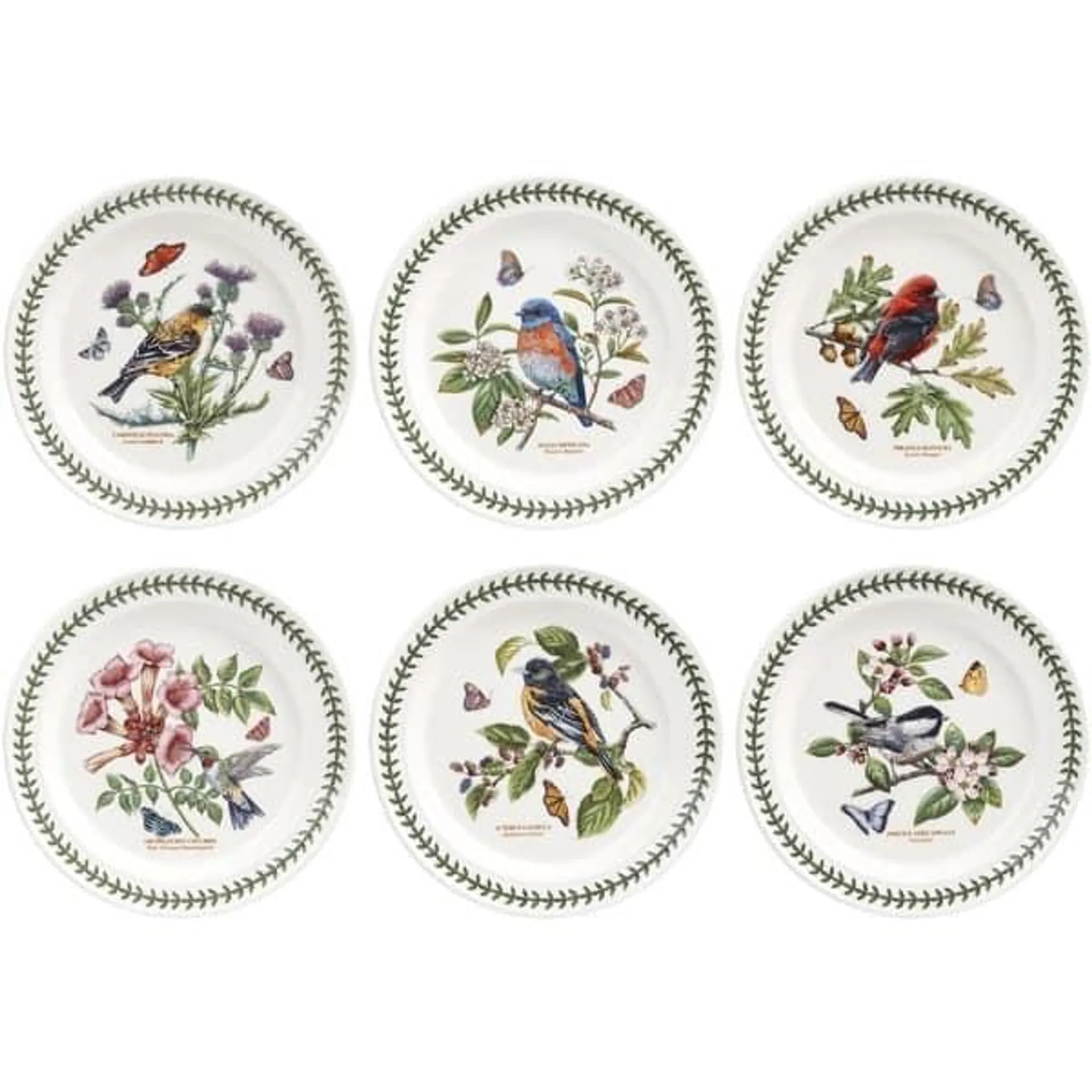 Portmeirion Botanic Garden Birds Collection Dinner Plate Set of 6 - 10.5 inch