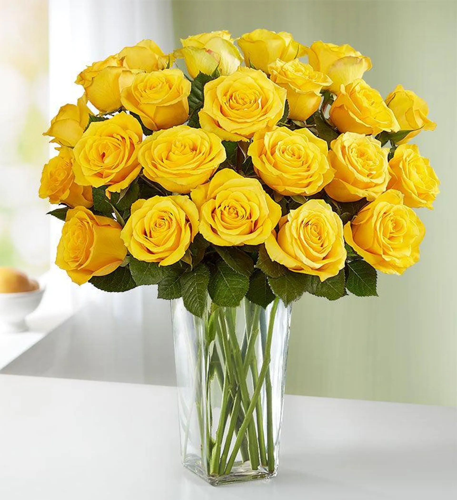 Yellow Roses, 12-24 Stems