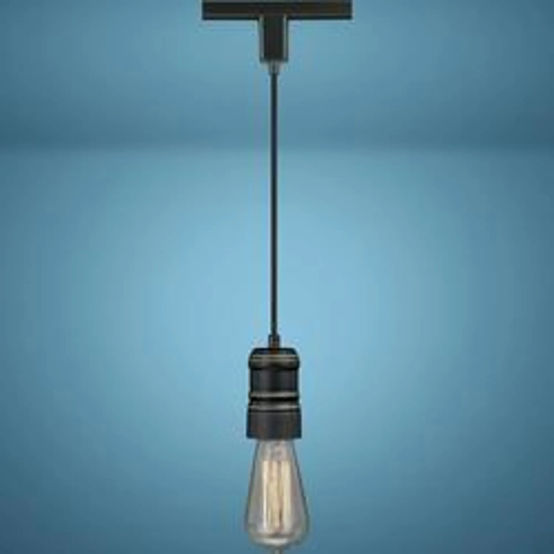 Patriot Lighting® Bolla 1-Light Bronze Track Lighting Pendant