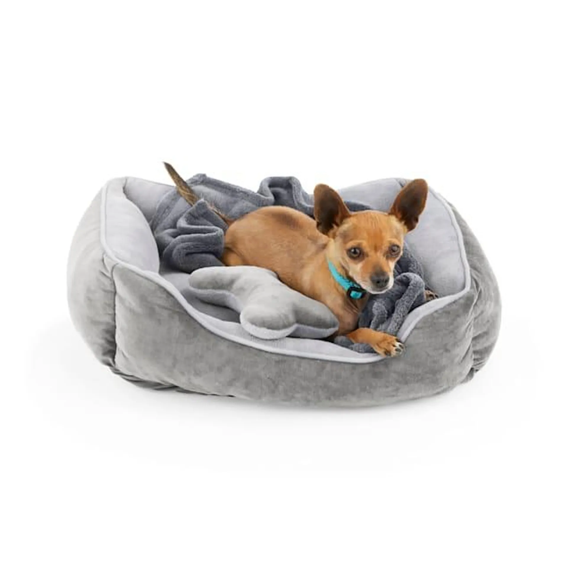 EveryYay Essentials Dog Bed Bundle, 22" L X 18" W, Small, Gray