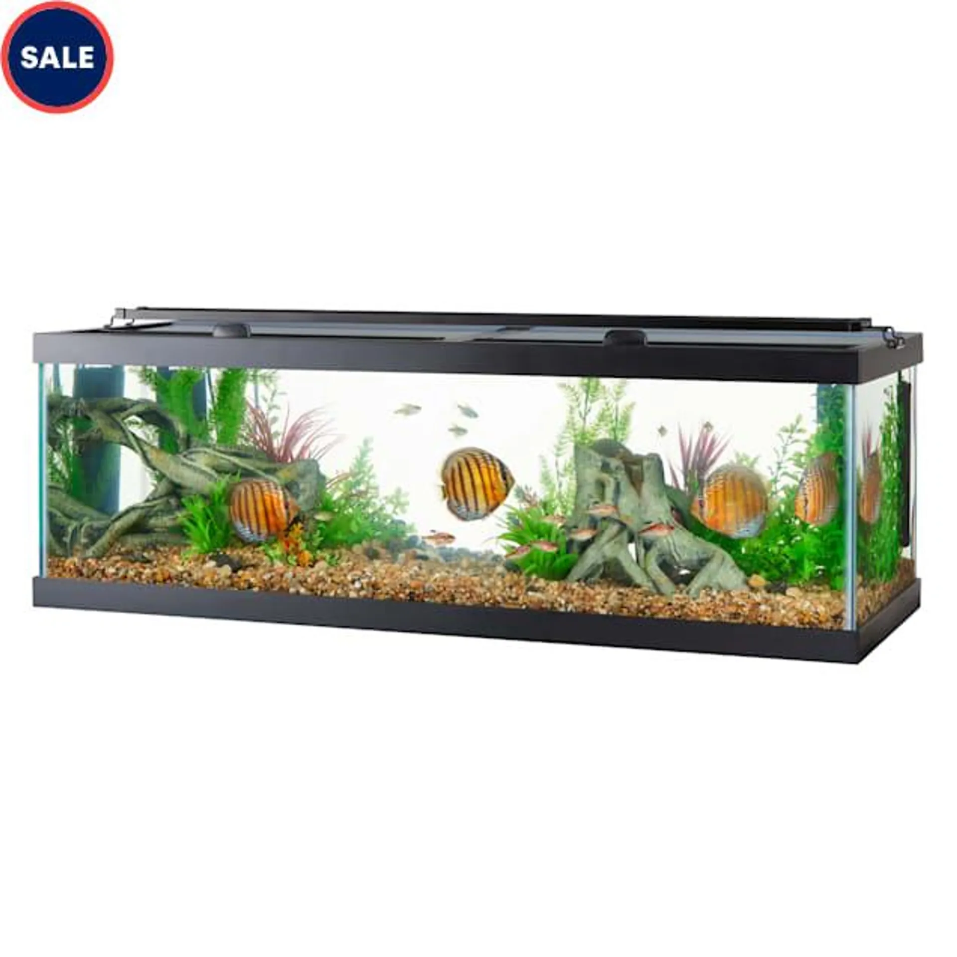 Aqueon Standard Open-Glass Glass Aquarium Tank, 60 Gallon