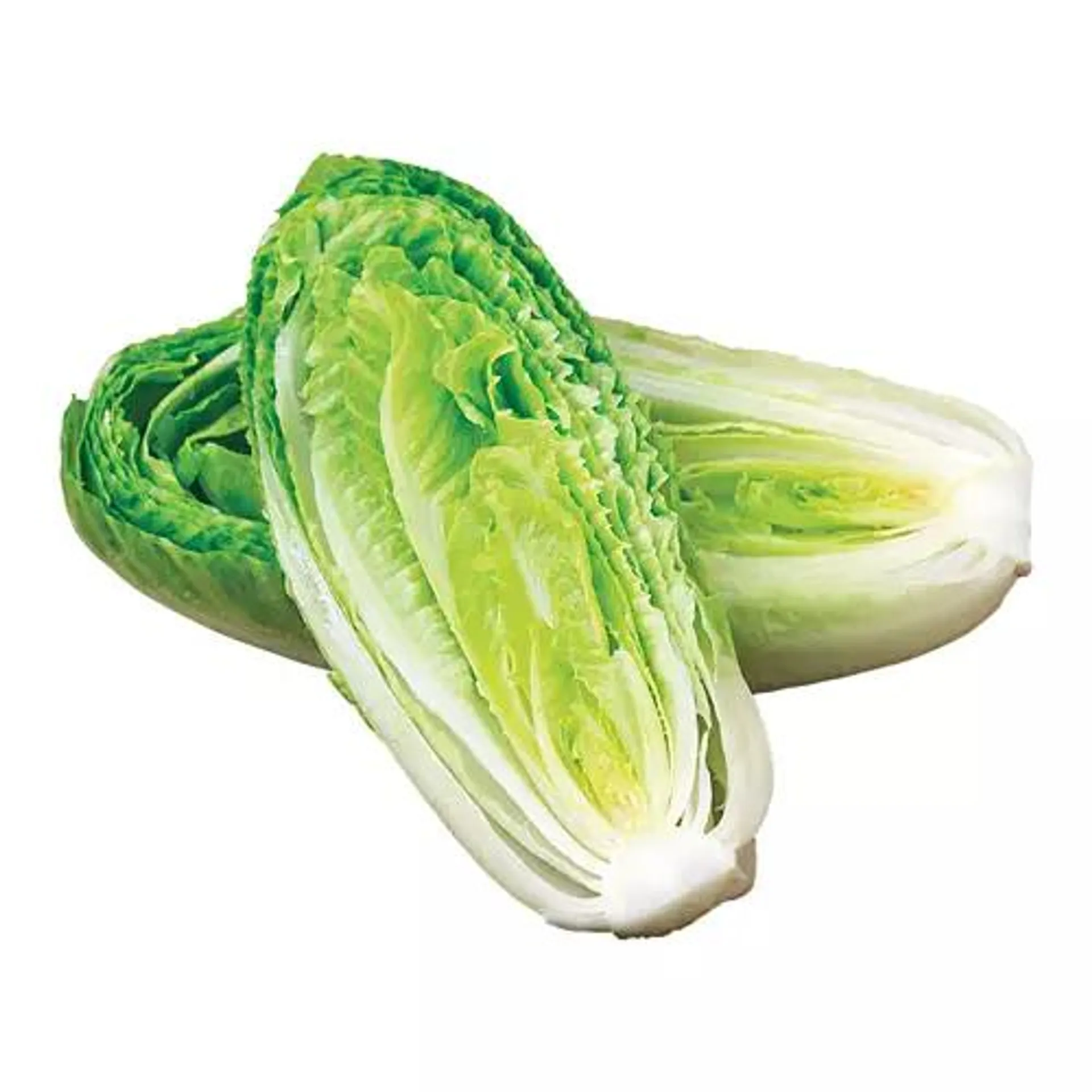 Organic Romaine Hearts, 3 pack