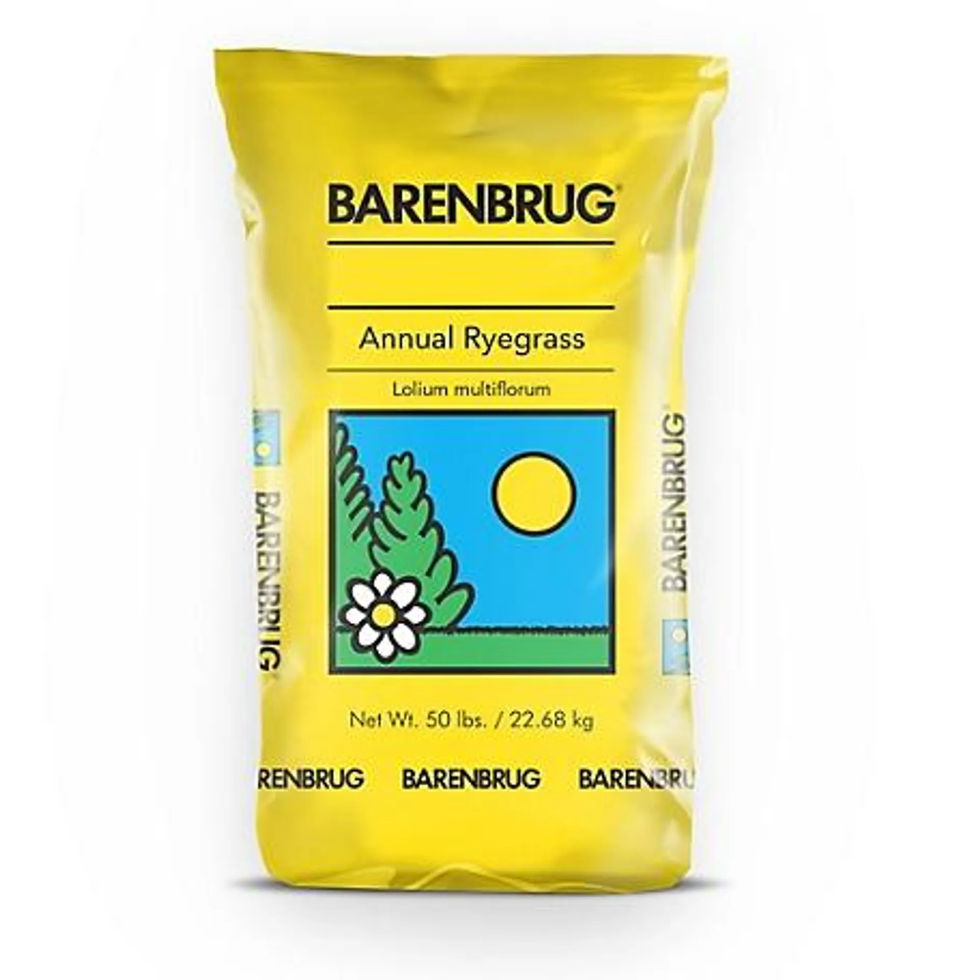 Barenbrug 50 lb. 5,000 sq. ft. Panterra V Over-Seeding Ryegrass Grass Seed