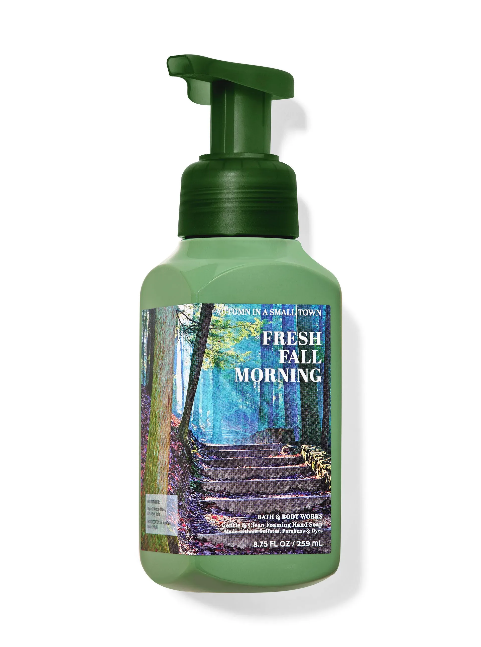 Fresh Fall Morning Gentle & Clean Foaming Hand Soap