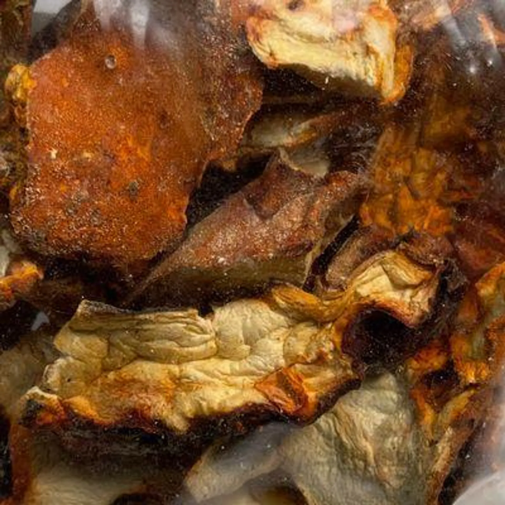 Lobster Mushrooms (Packaged)