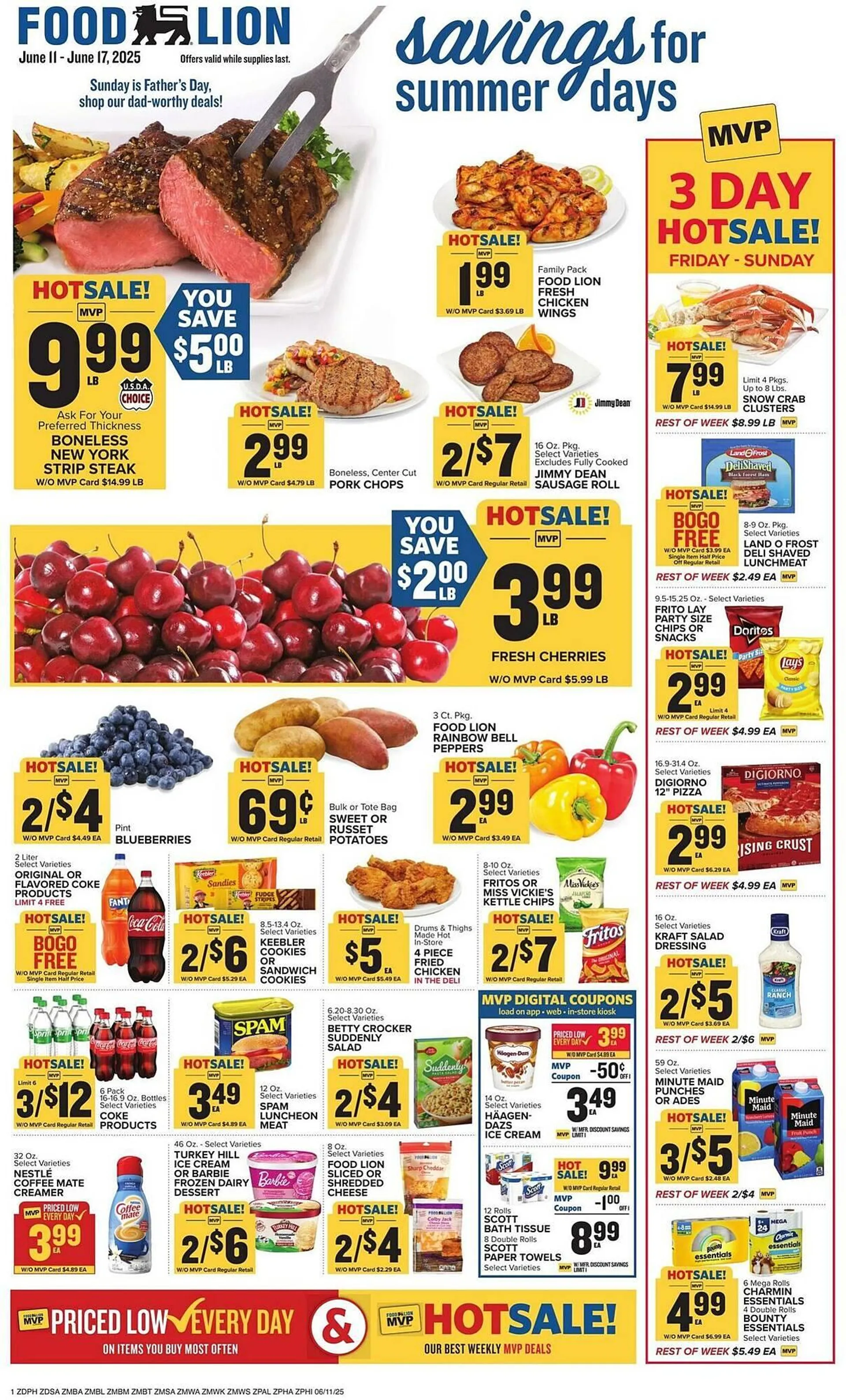 Weekly ad Food Lion Weekly Ad from June 11 to June 17 2025 - Page 1