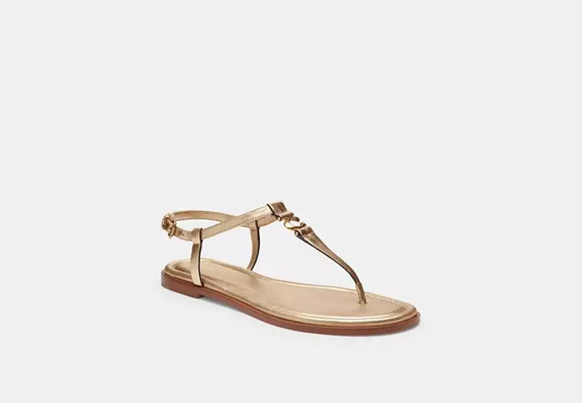 Jessica Sandal