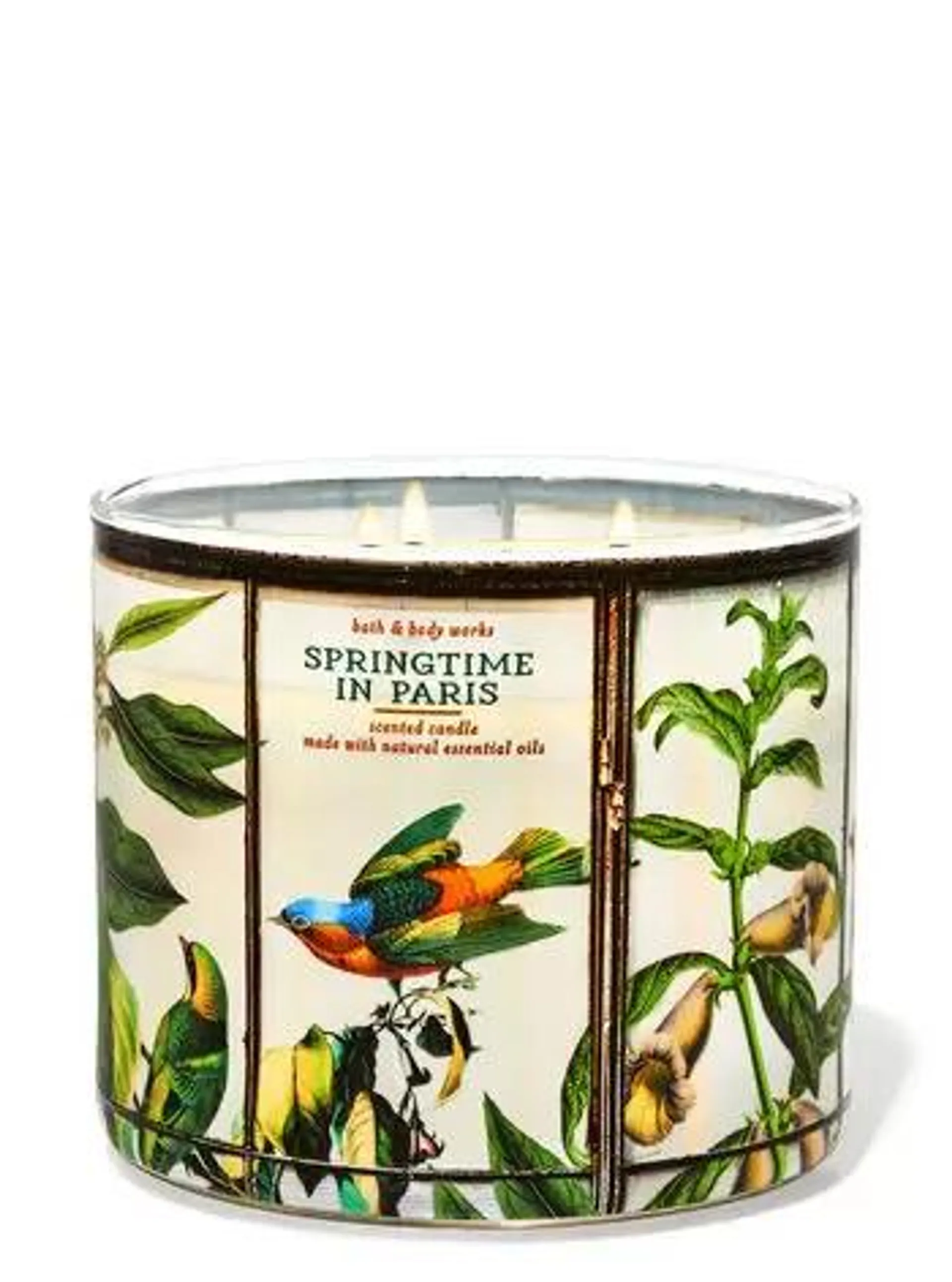 Springtime In Paris 3-Wick Candle