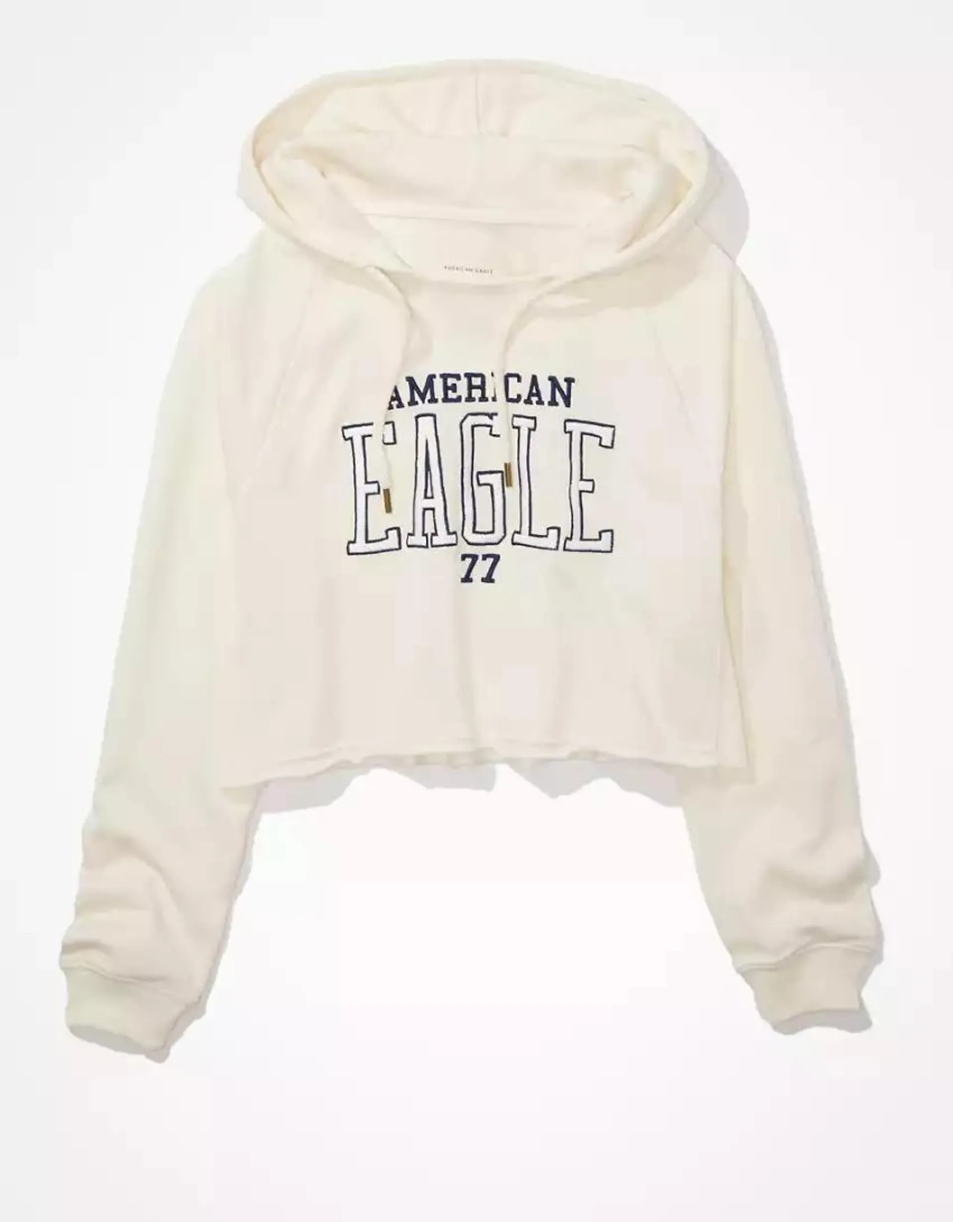 AE Cropped Graphic Hoodie