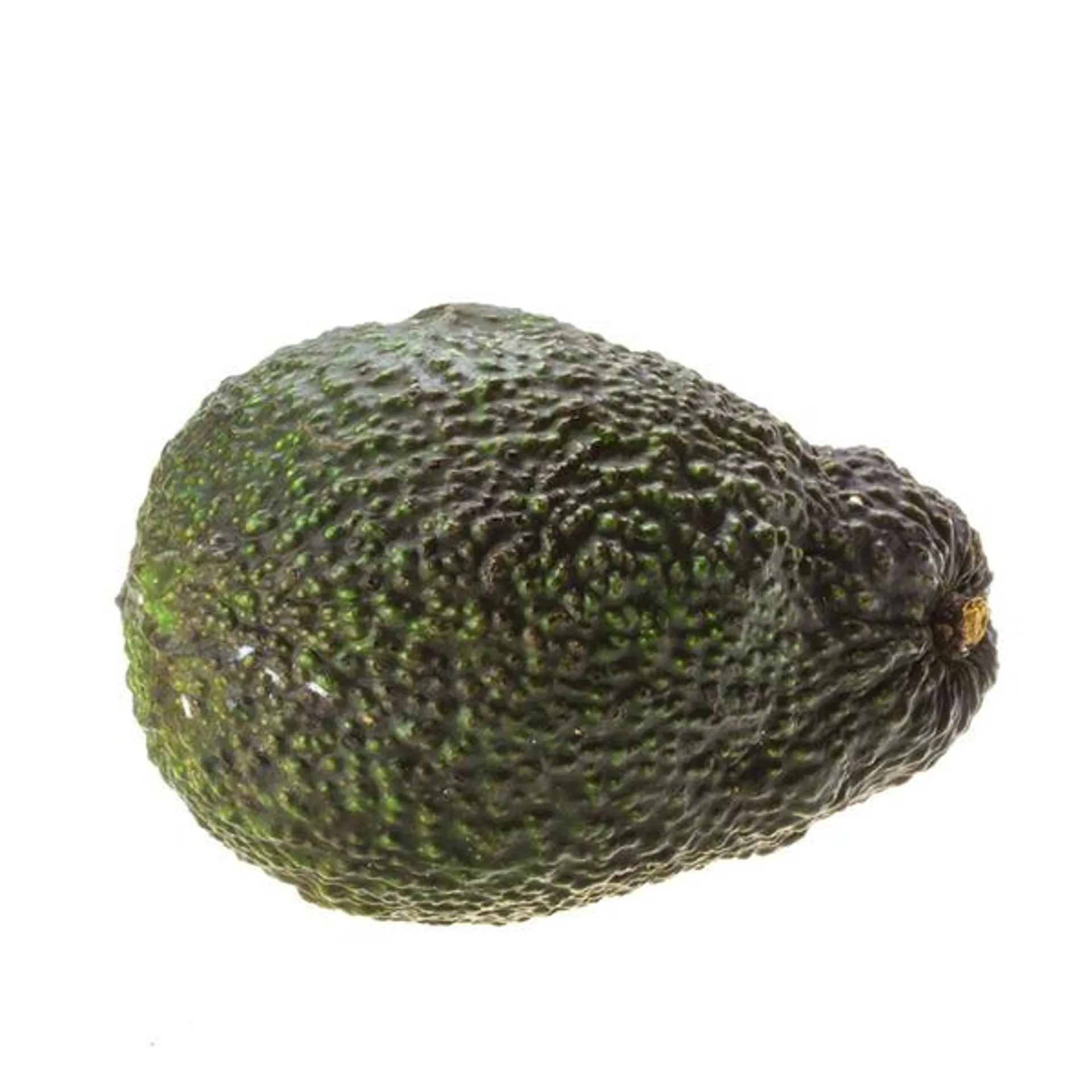 Avocado Small Hass